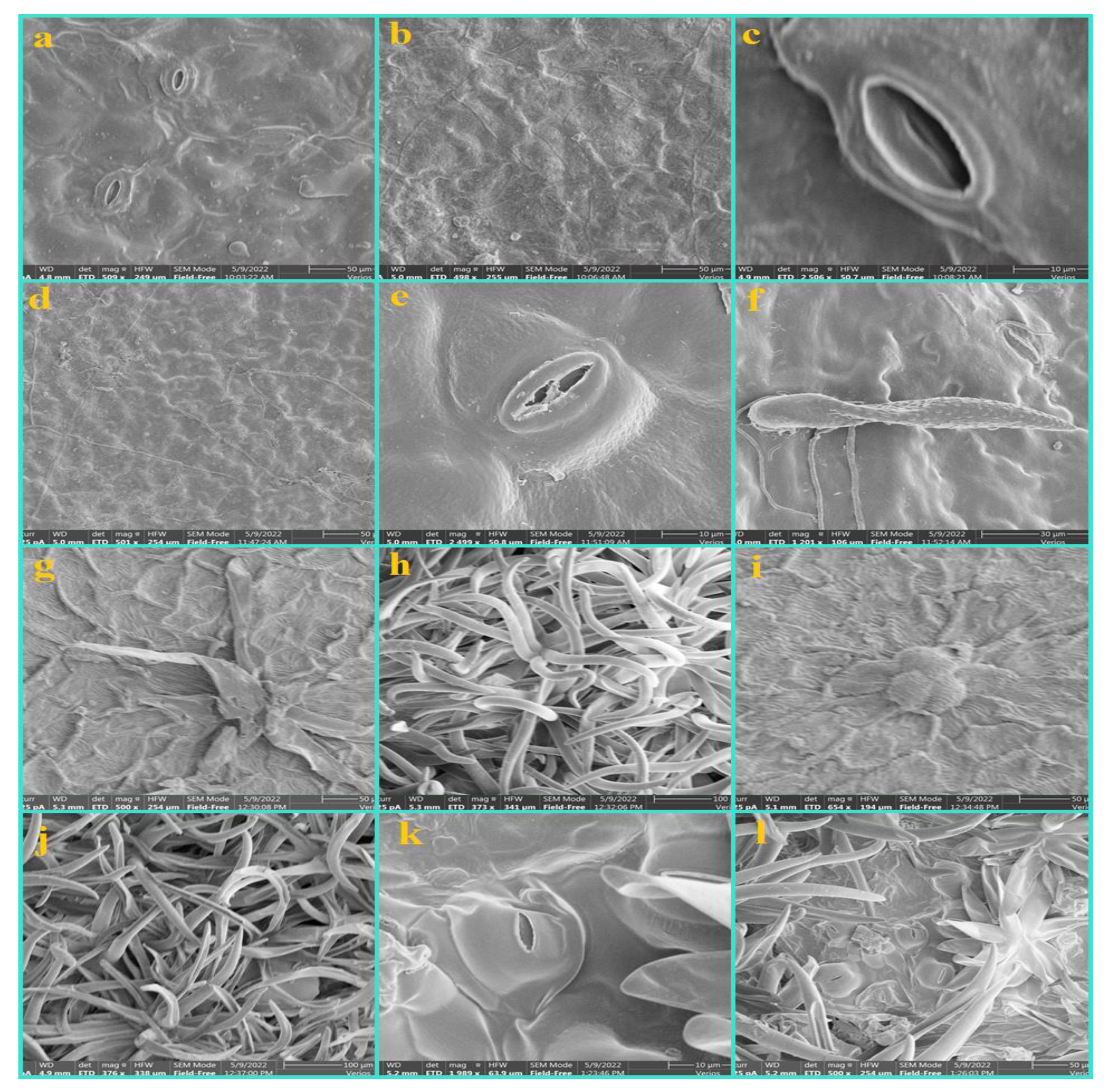 Diversity 14 00881 g001 Diversity 14 00881 g001