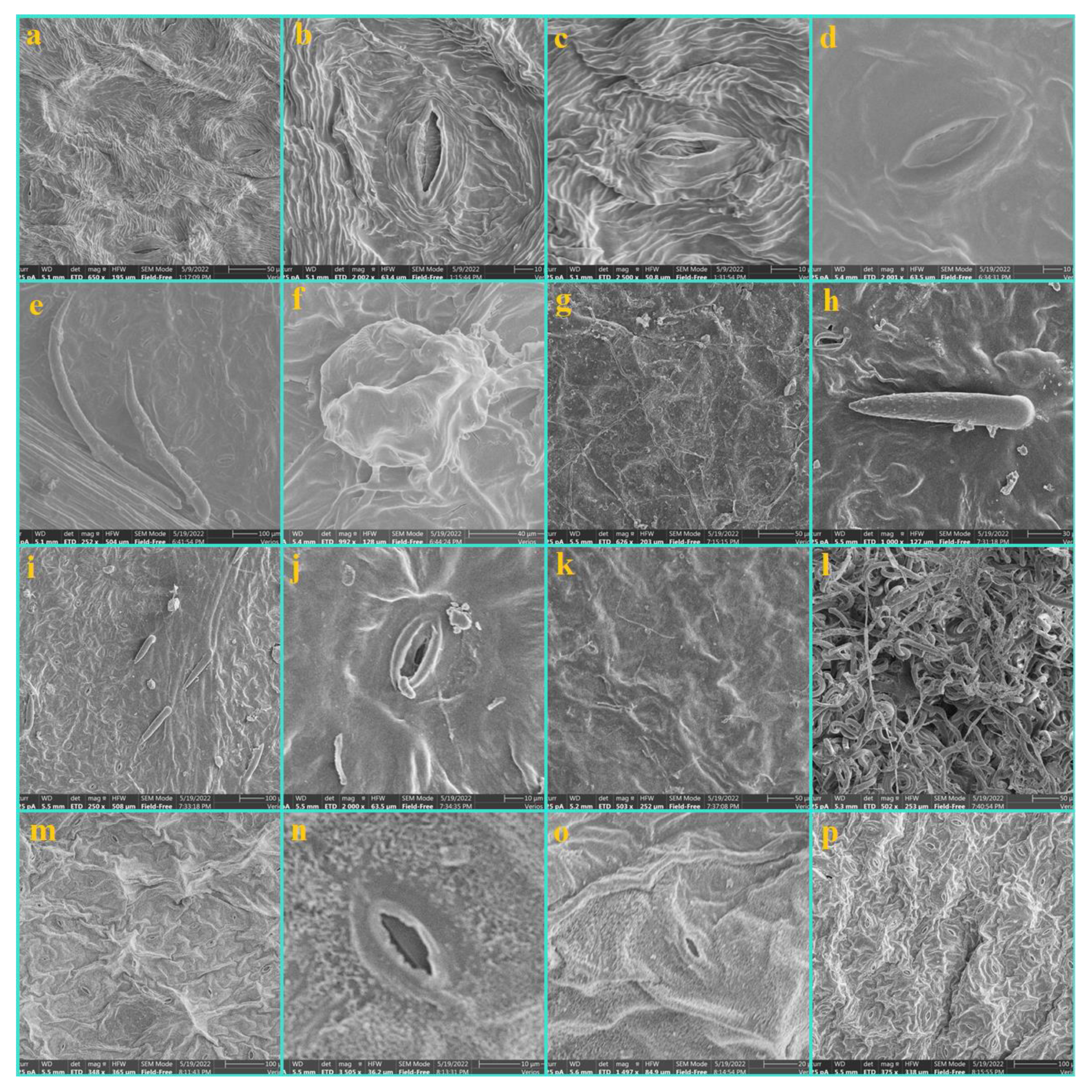 Diversity 14 00881 g002 Diversity 14 00881 g002