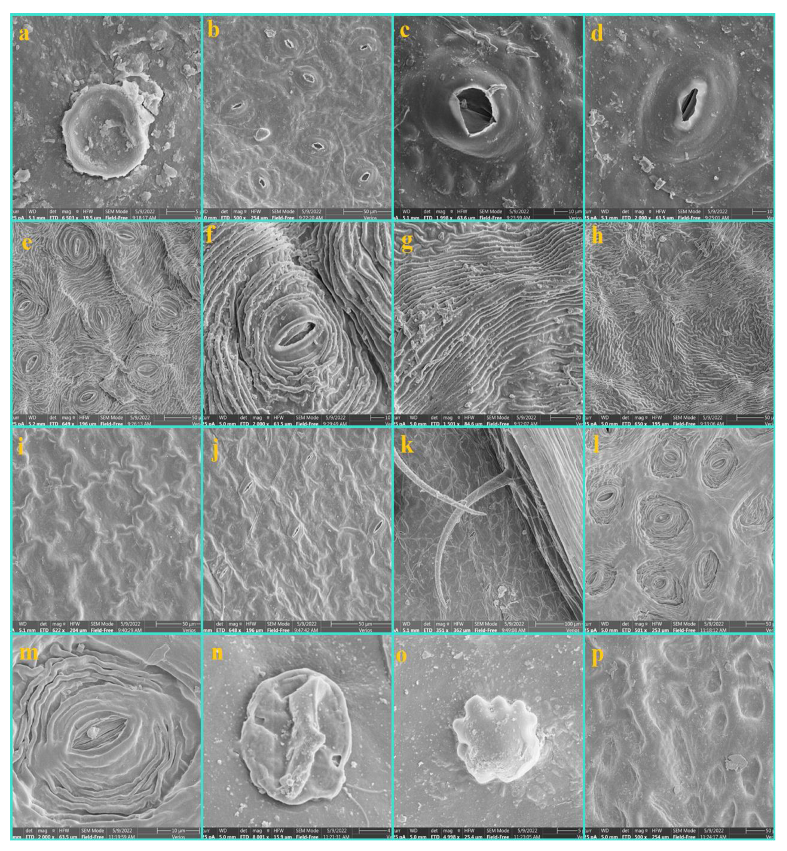 Diversity 14 00881 g003 Diversity 14 00881 g003