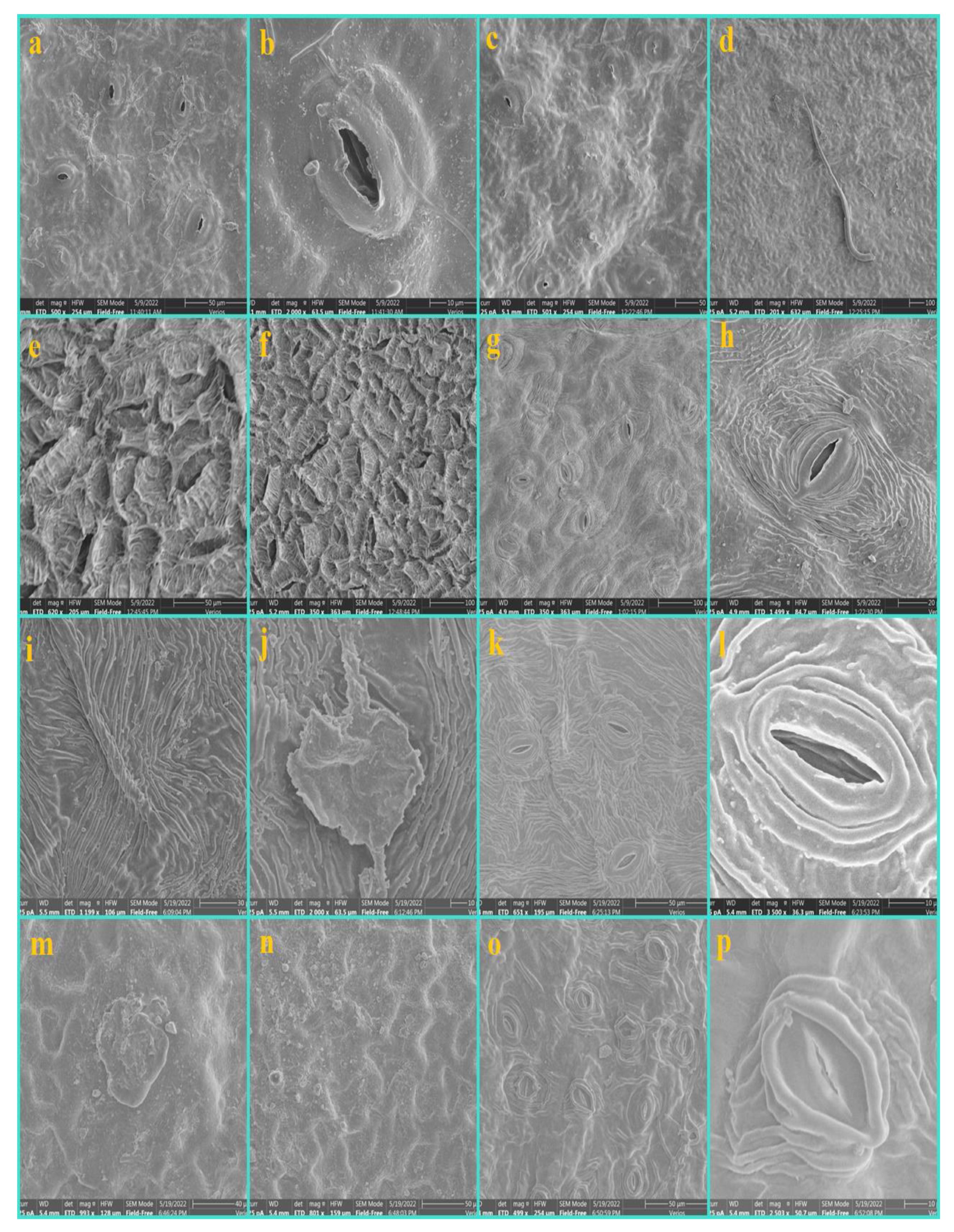 Diversity 14 00881 g004 Diversity 14 00881 g004