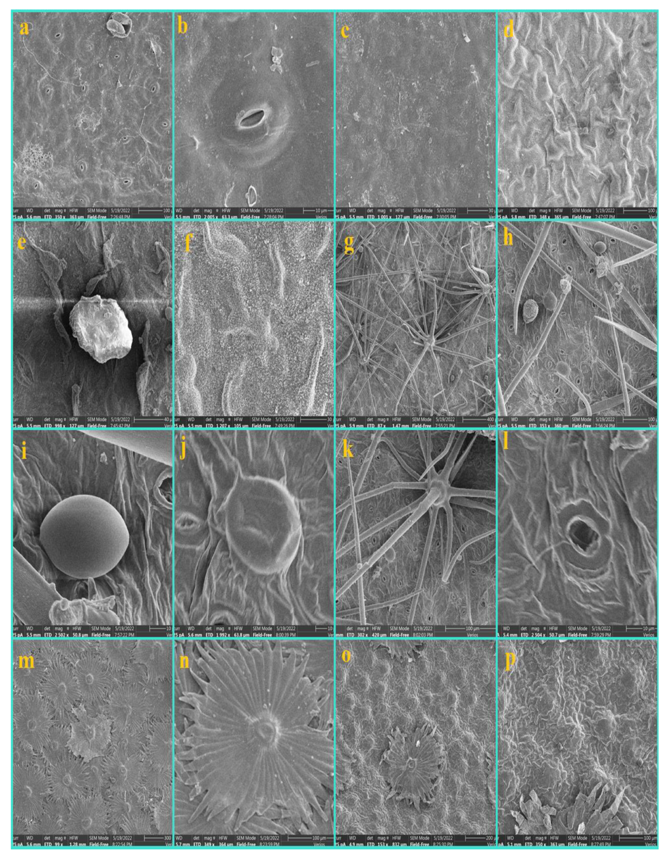 Diversity 14 00881 g005 Diversity 14 00881 g005