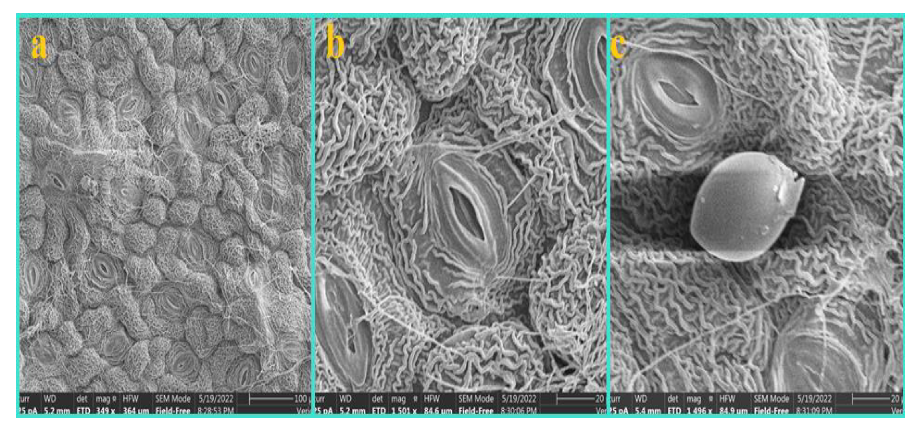 Diversity 14 00881 g006 Diversity 14 00881 g006