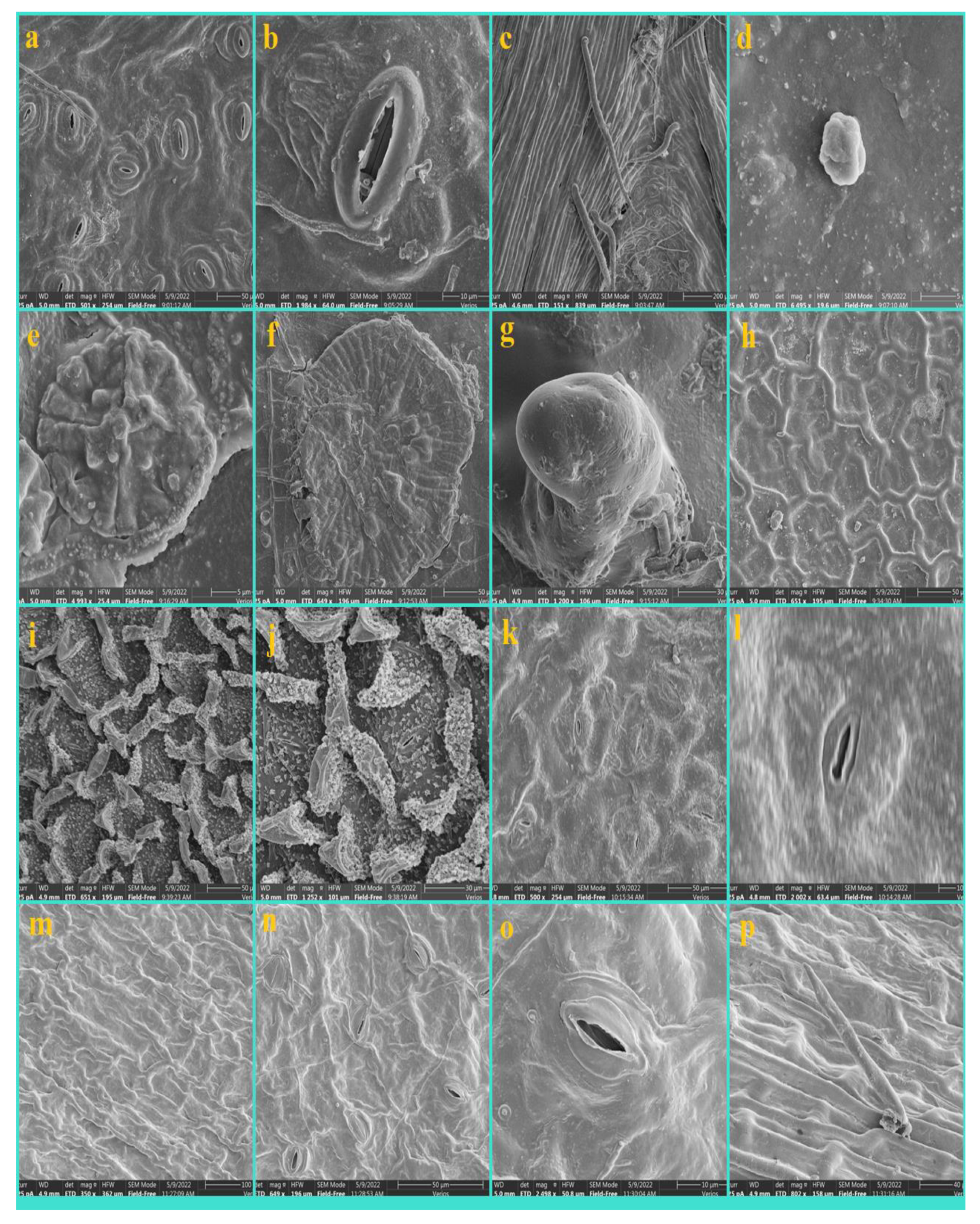 Diversity 14 00881 g008 Diversity 14 00881 g008