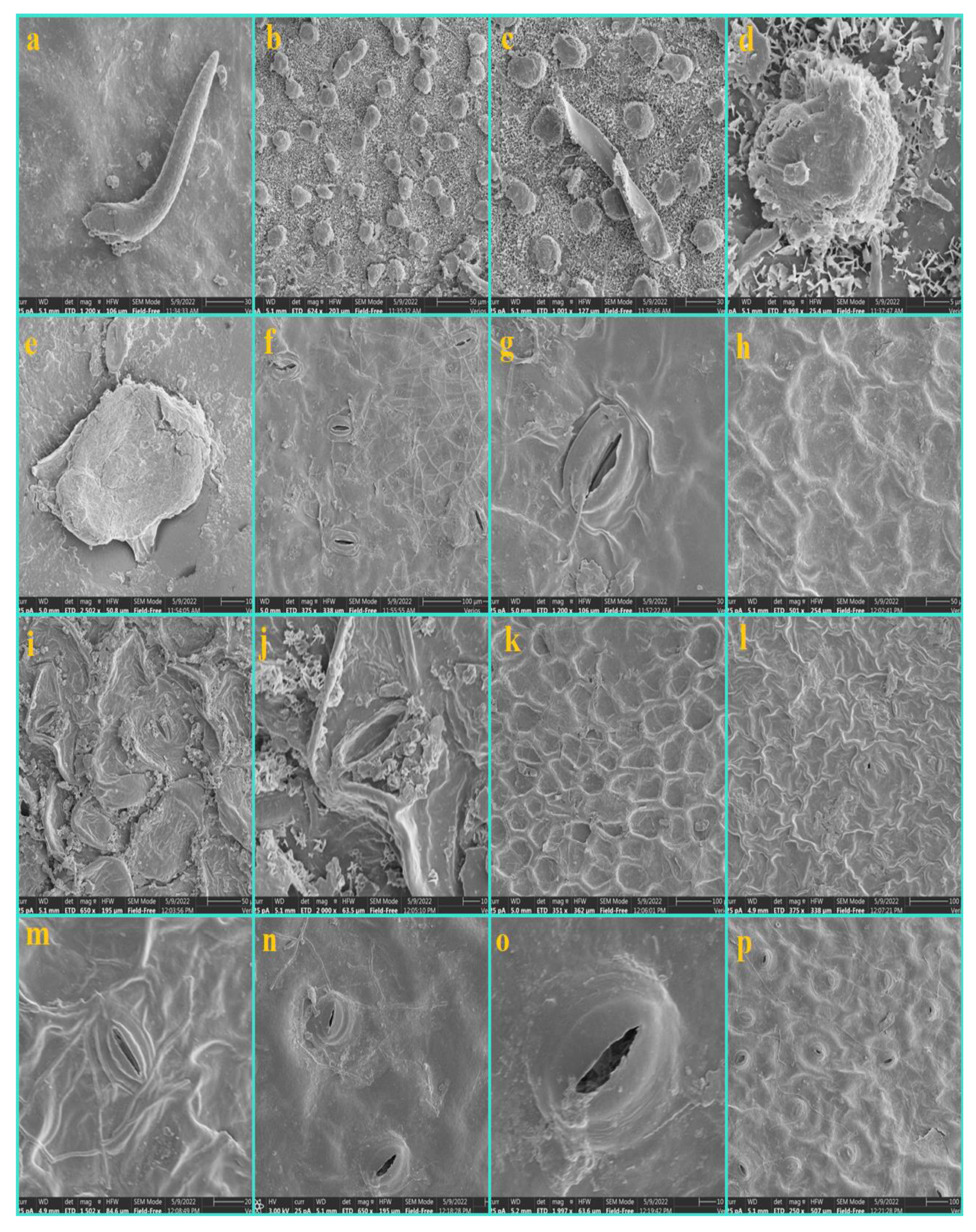 Diversity 14 00881 g009 Diversity 14 00881 g009