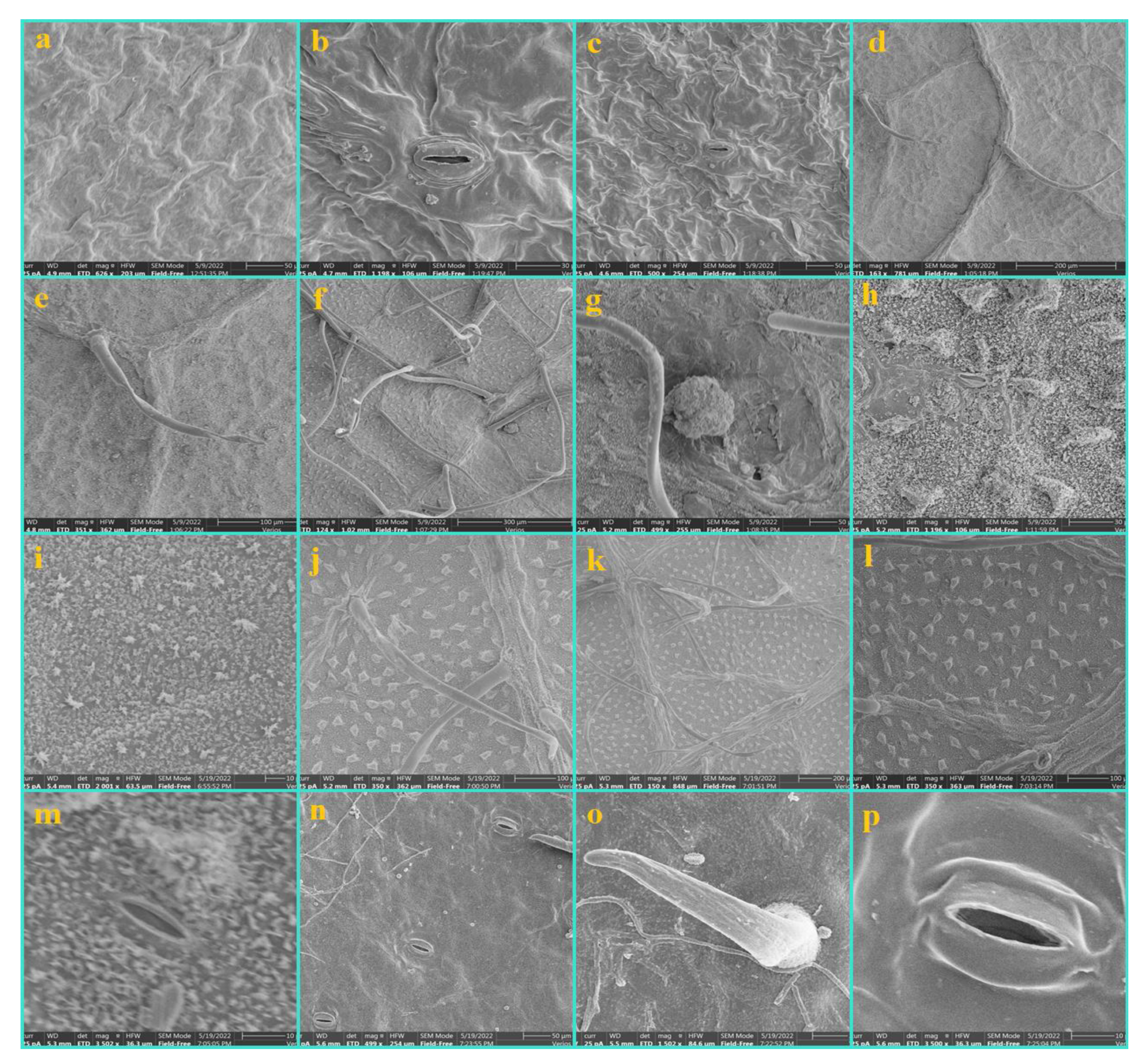 Diversity 14 00881 g010 Diversity 14 00881 g010