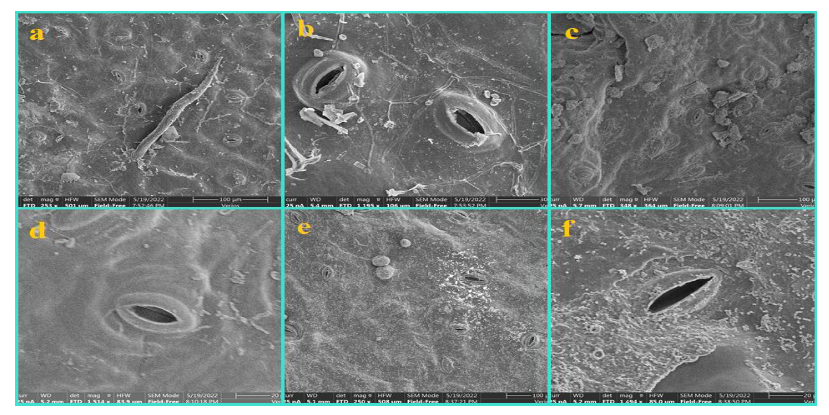 Diversity 14 00881 g011 Diversity 14 00881 g011