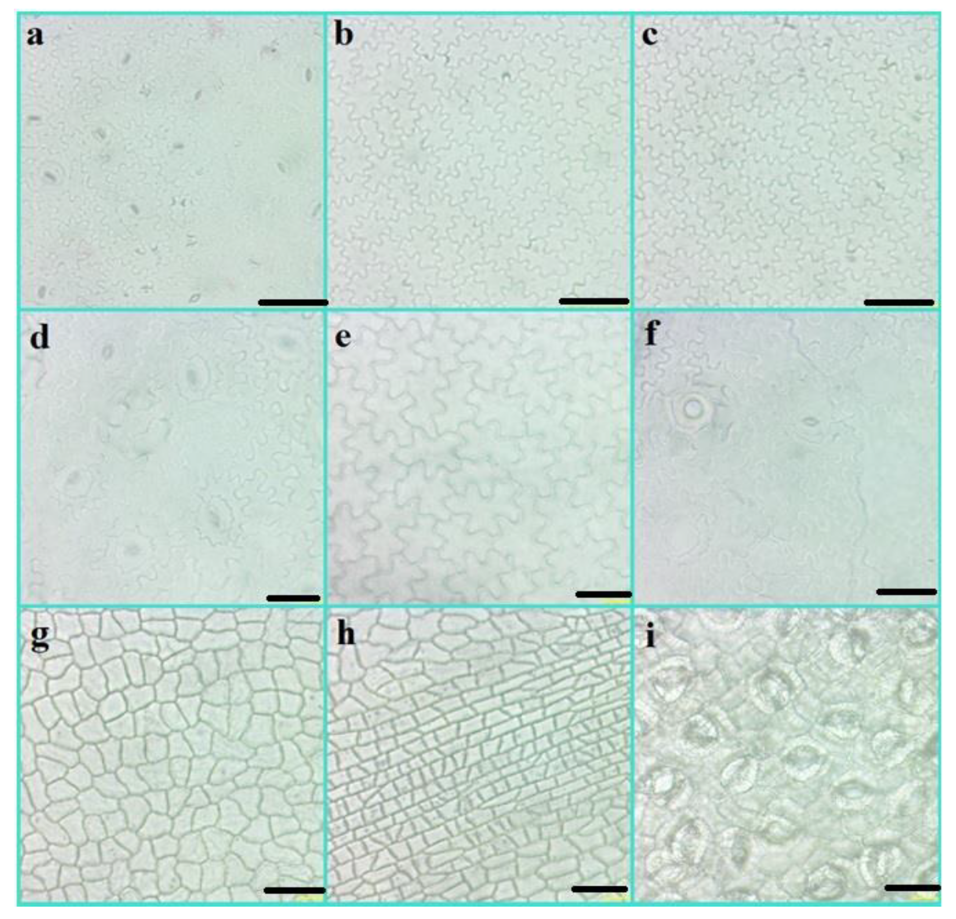 Diversity 14 00881 g012 Diversity 14 00881 g012