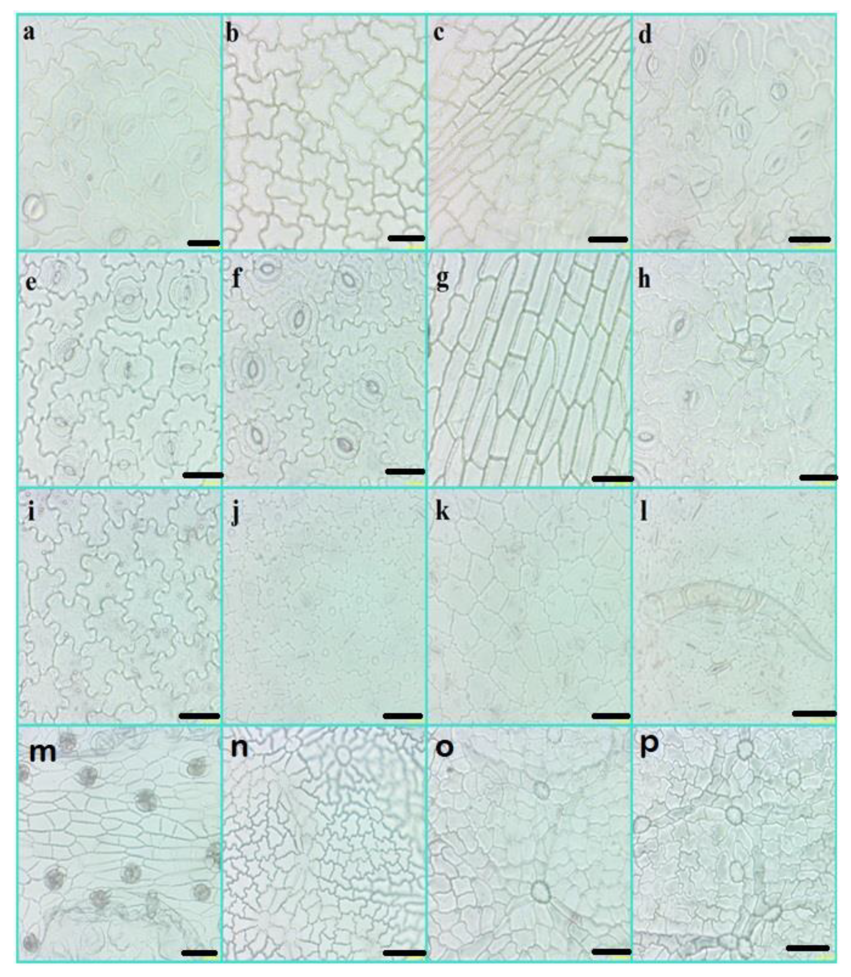 Diversity 14 00881 g013 Diversity 14 00881 g013