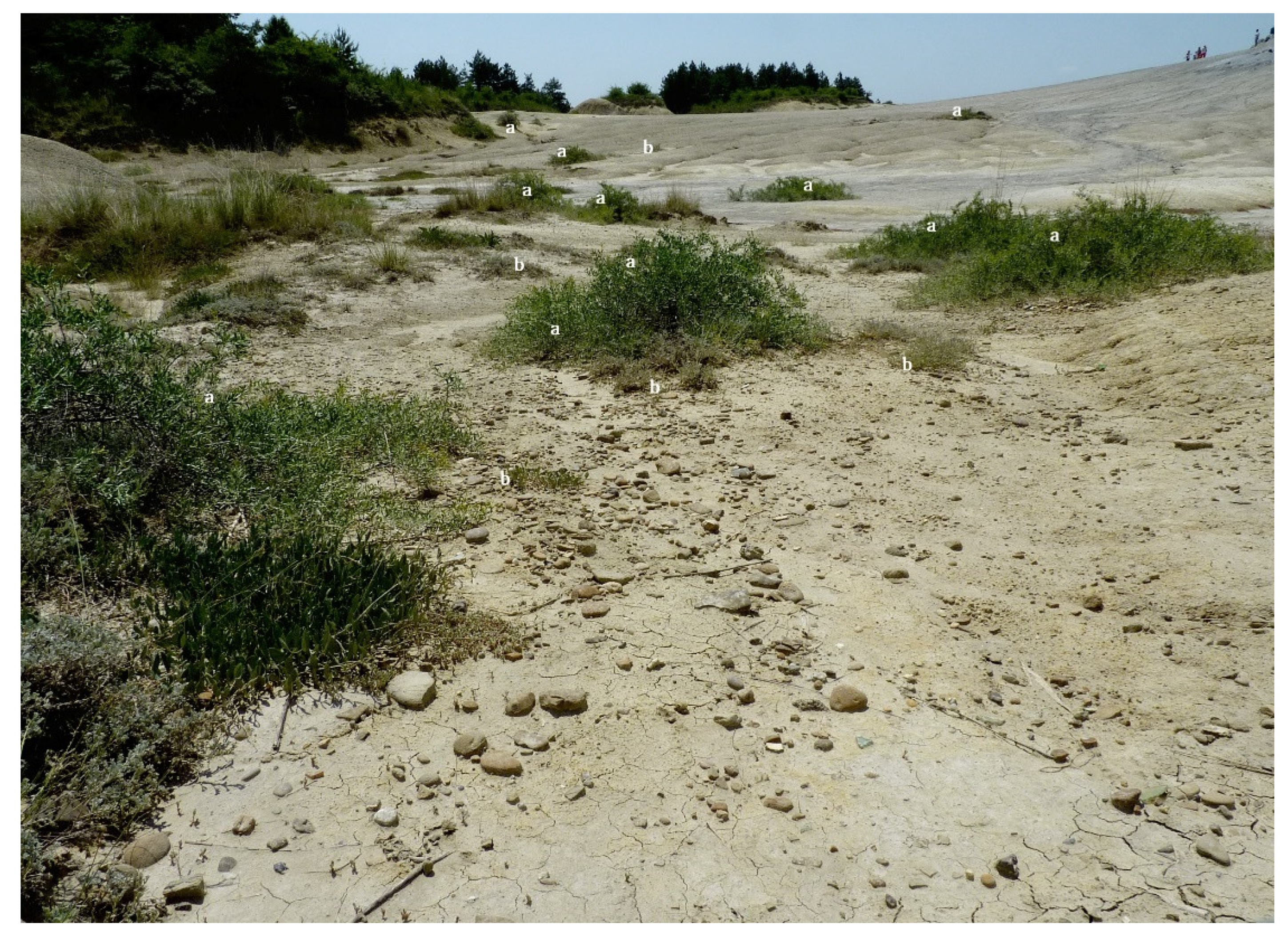 Diversity 14 00882 g002