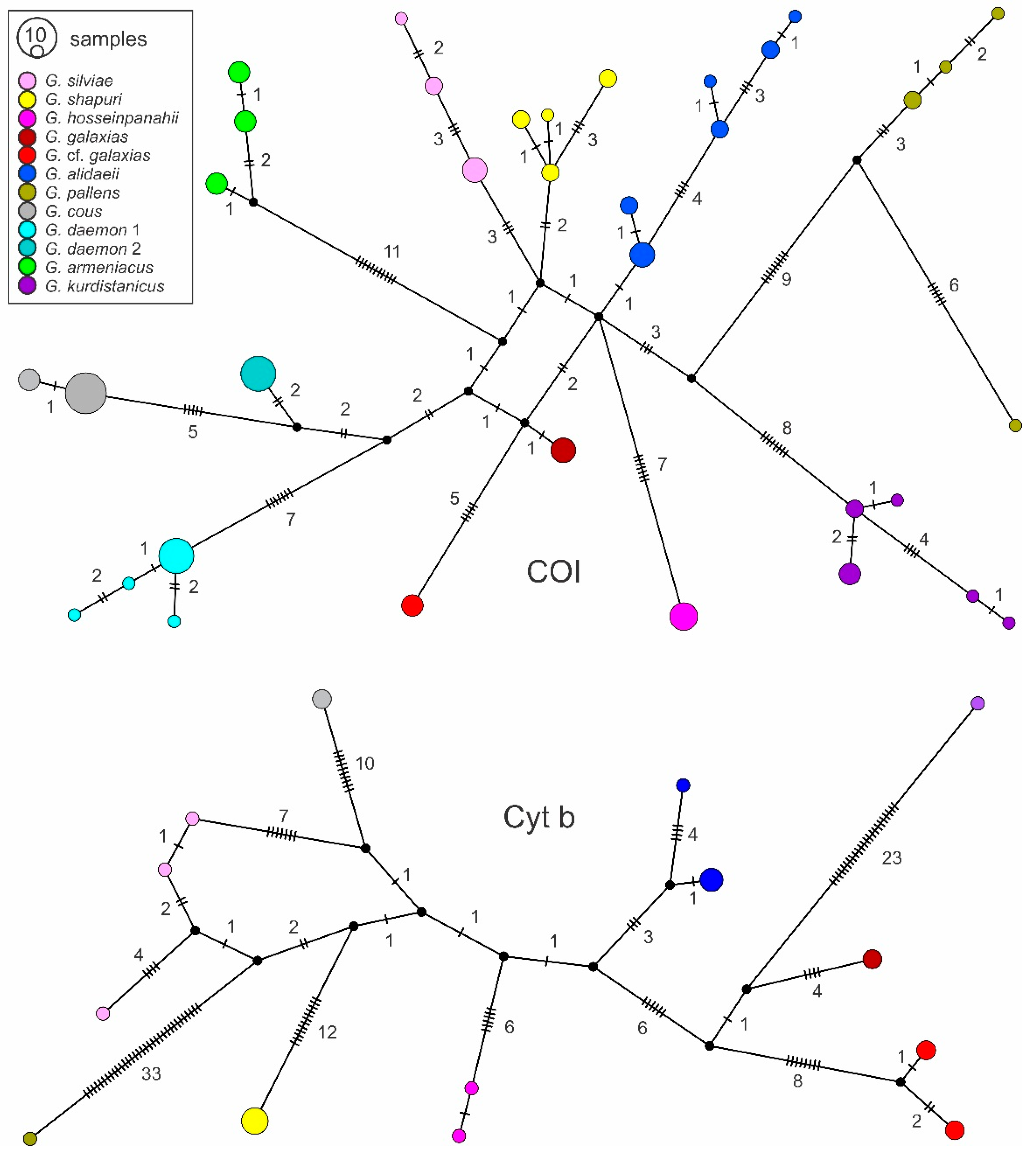 Diversity 14 00884 g004 Diversity 14 00884 g004
