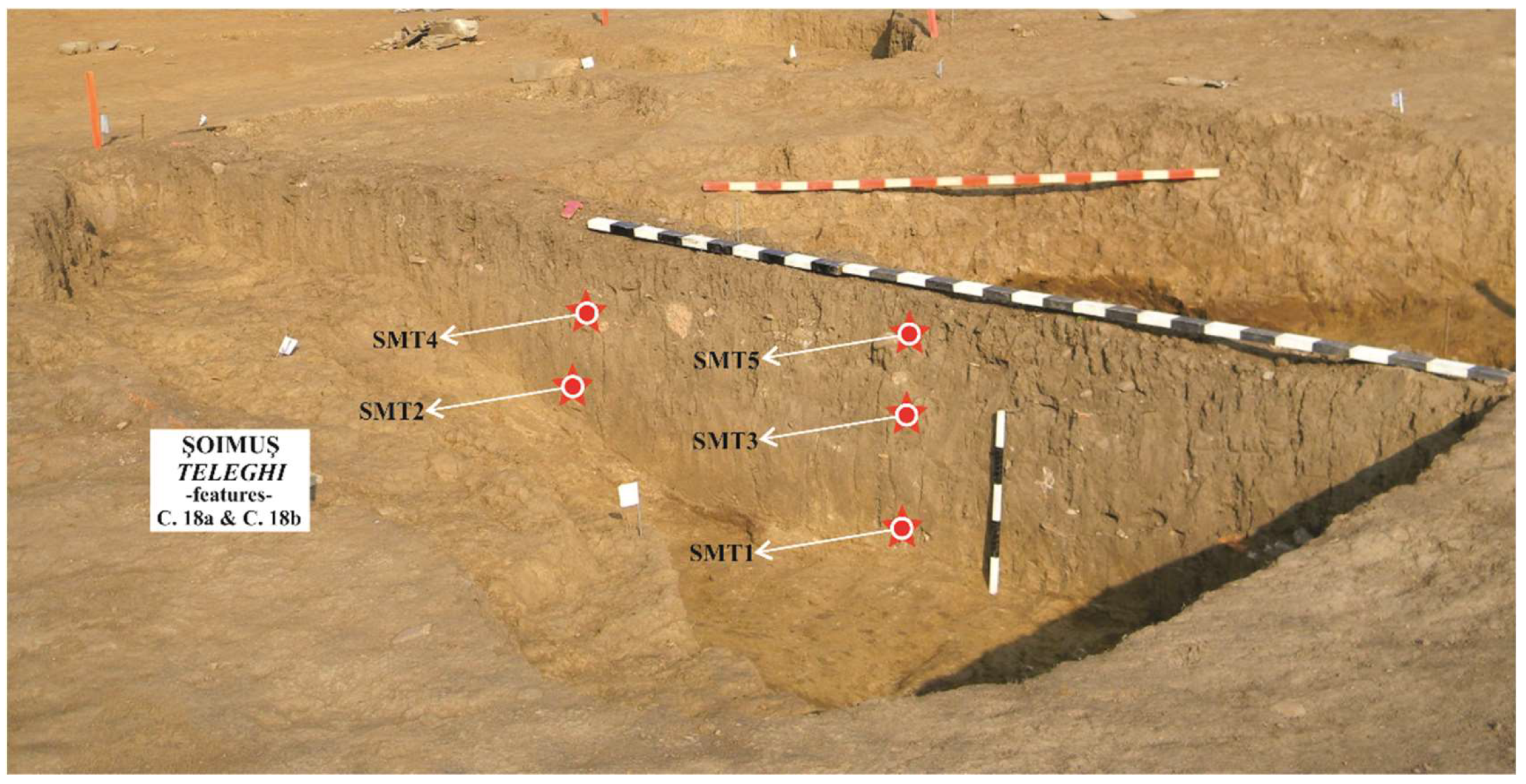 Diversity 14 00894 g003