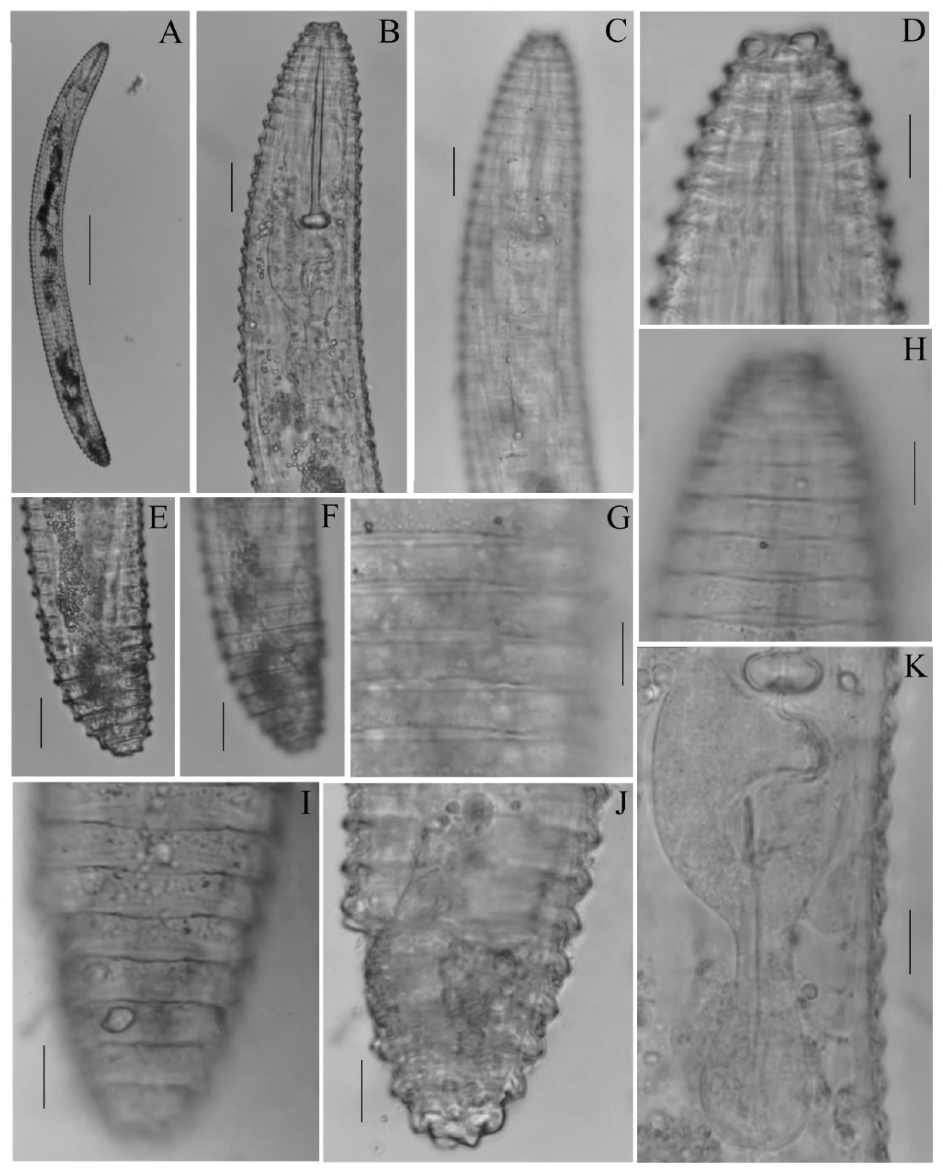 Diversity 14 00898 g002