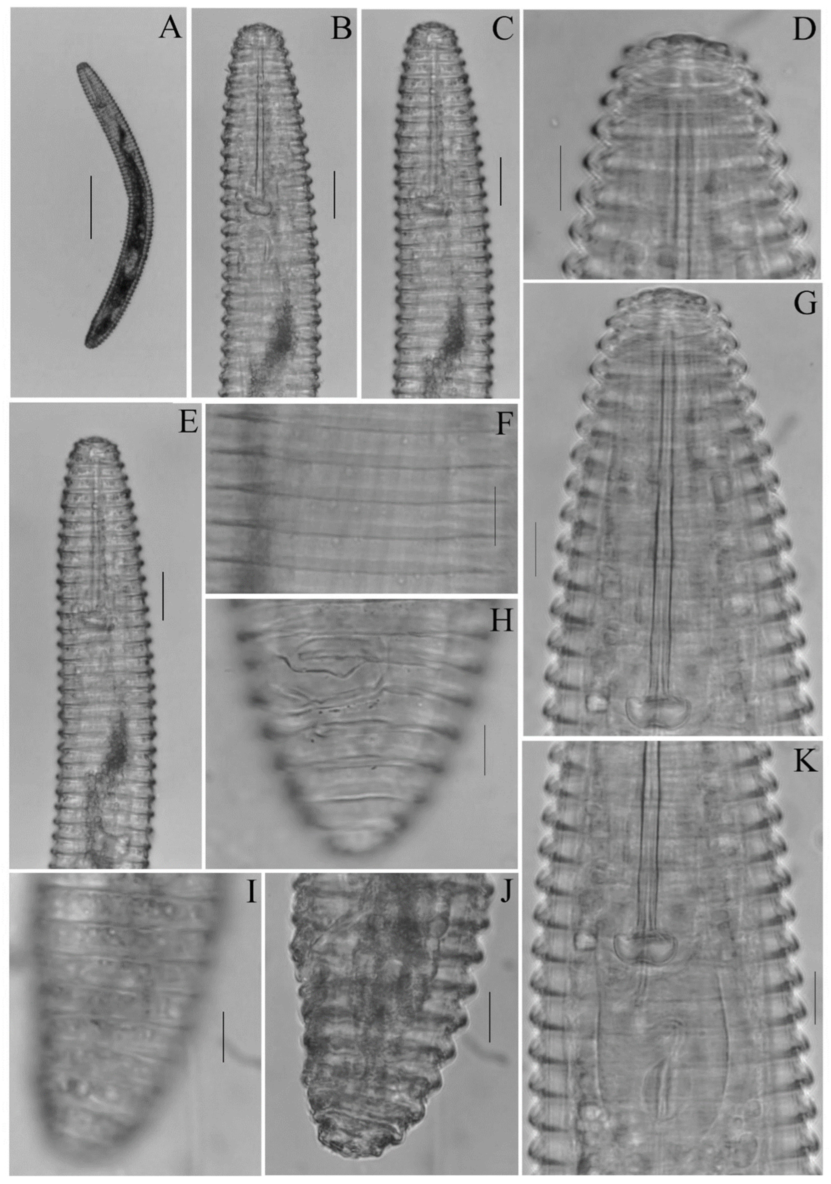 Diversity 14 00898 g003