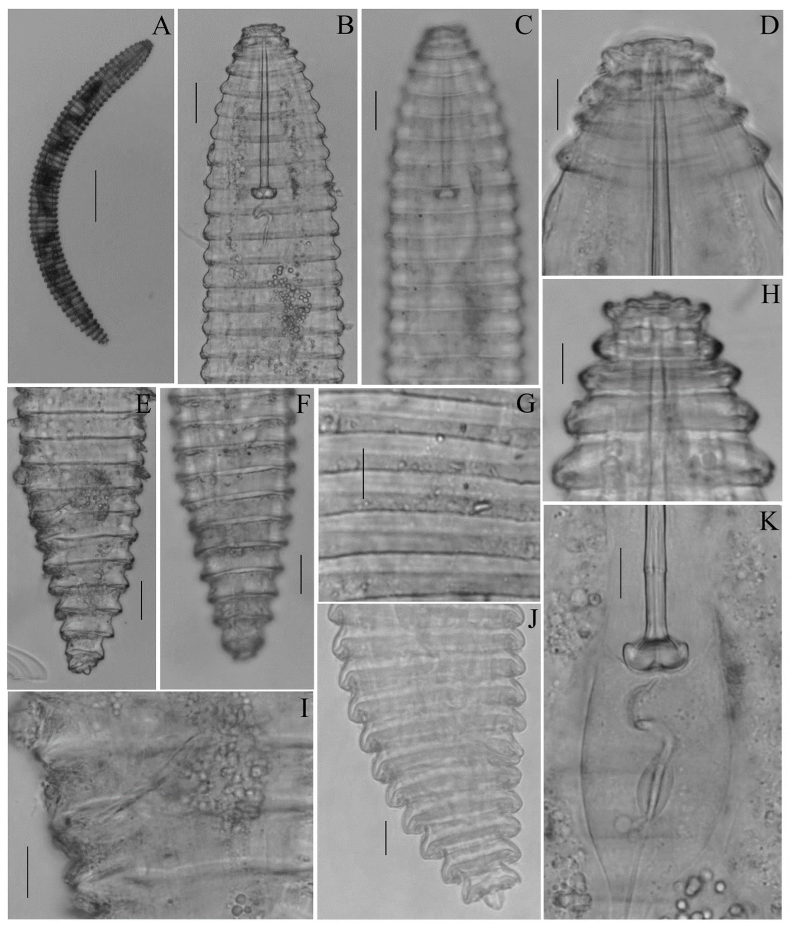 Diversity 14 00898 g004