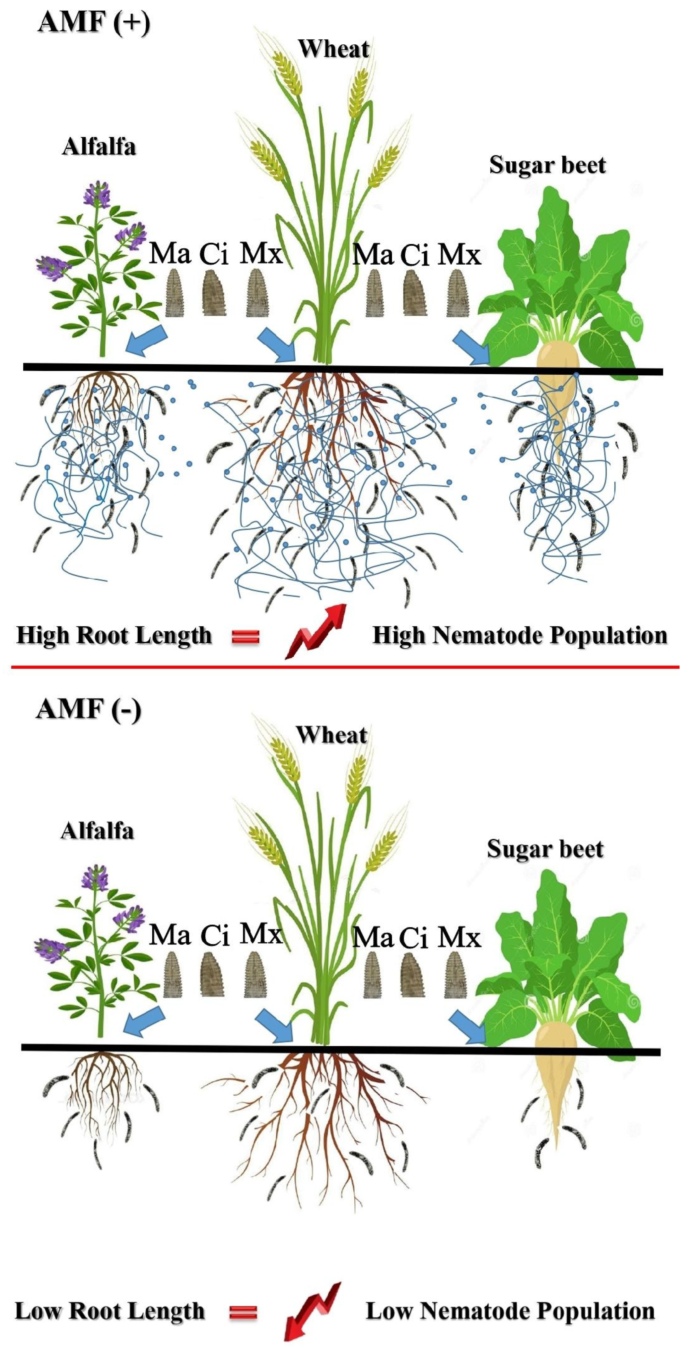 Diversity 14 00898 g006