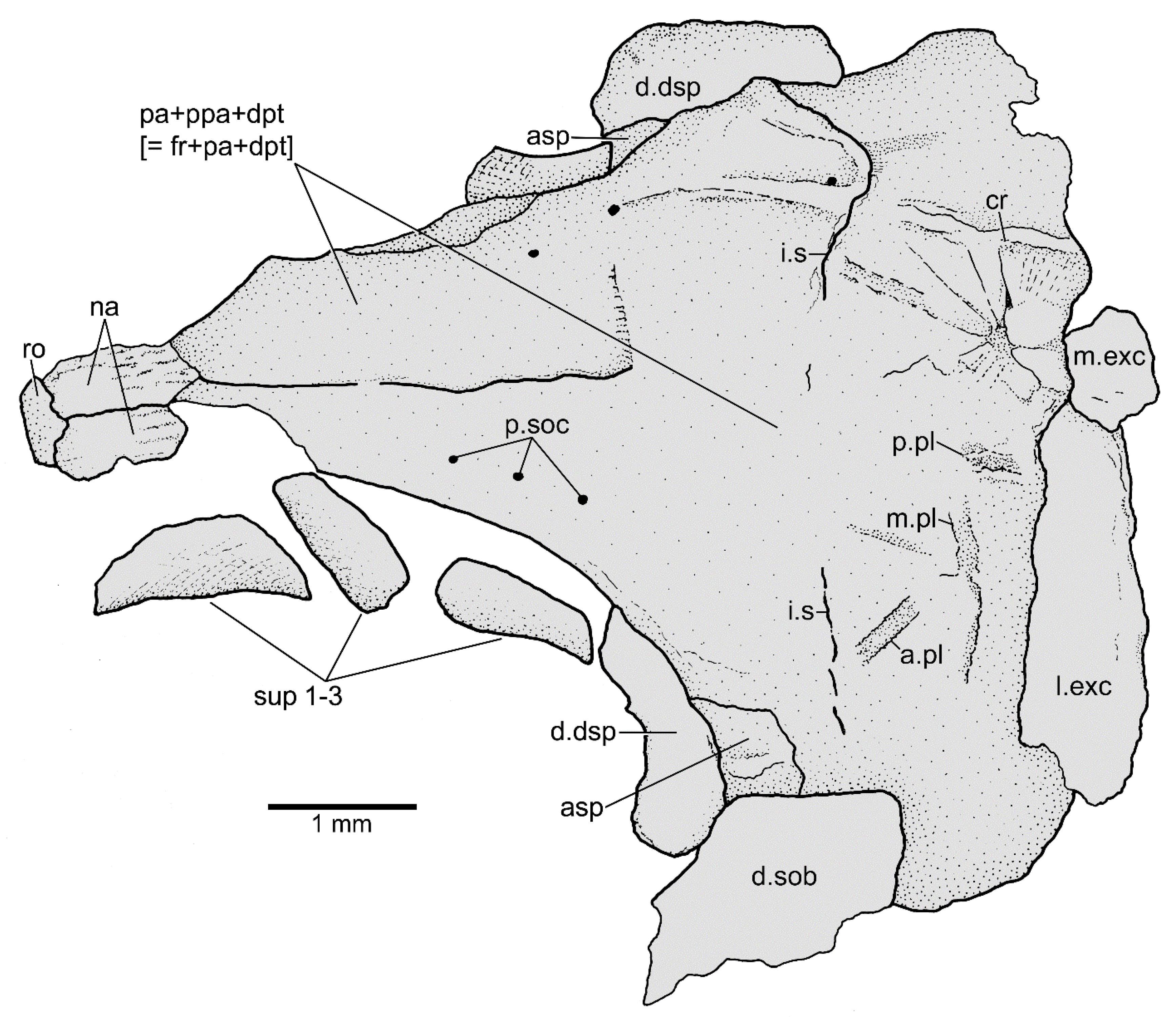 Diversity 14 00901 g003 Diversity 14 00901 g003