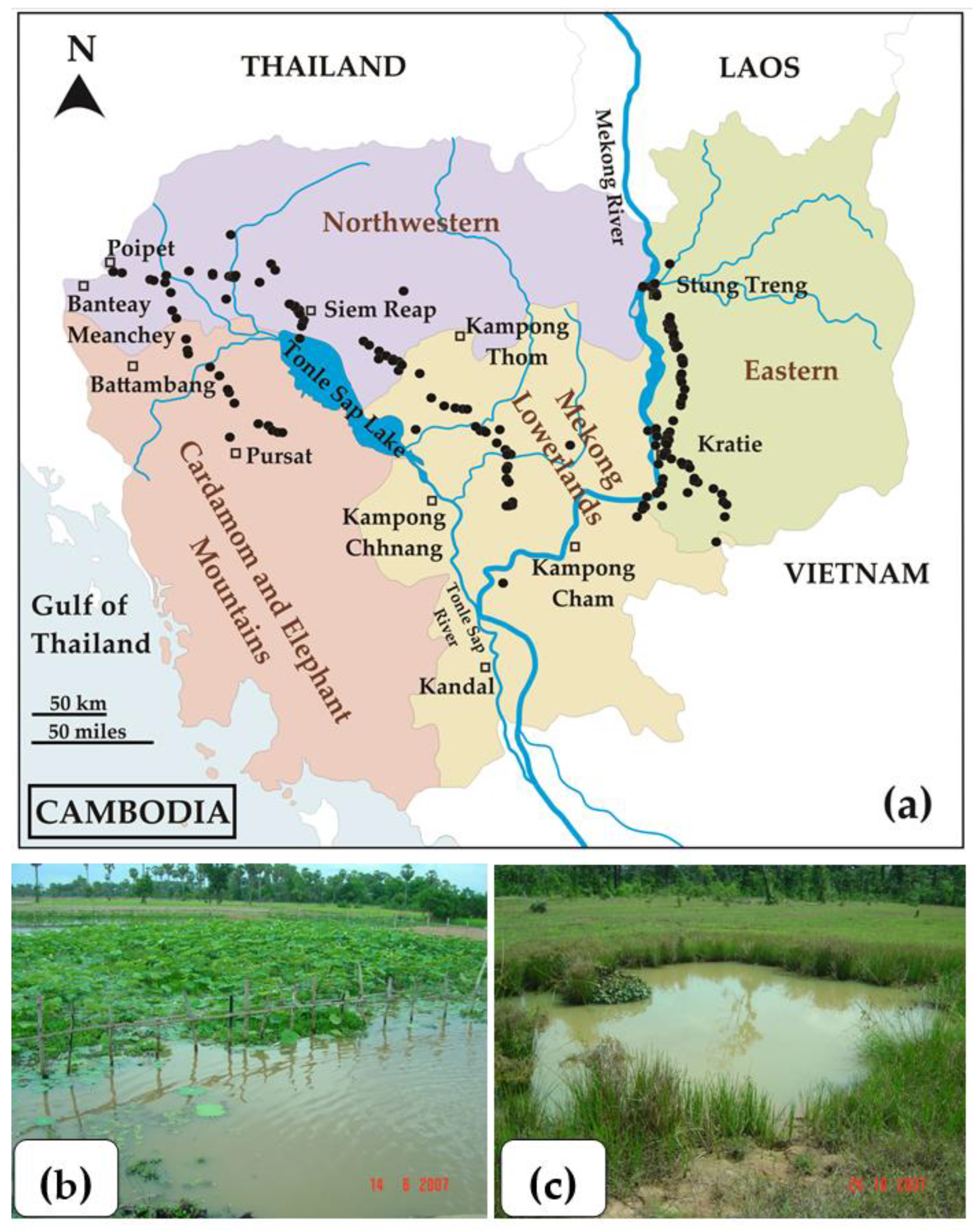 Diversity 14 00903 g001 Diversity 14 00903 g001