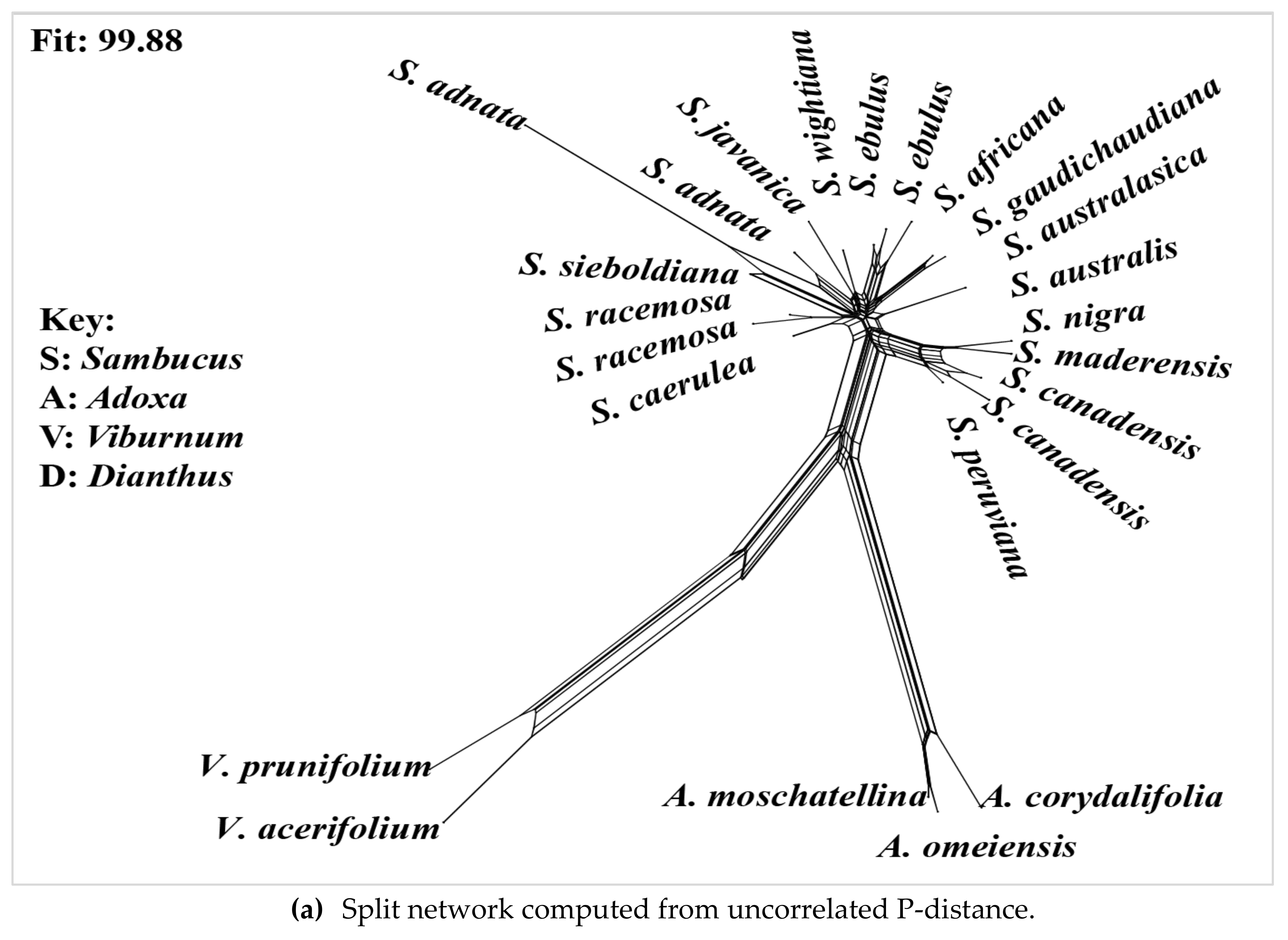 Diversity 14 00906 g004a Diversity 14 00906 g004a