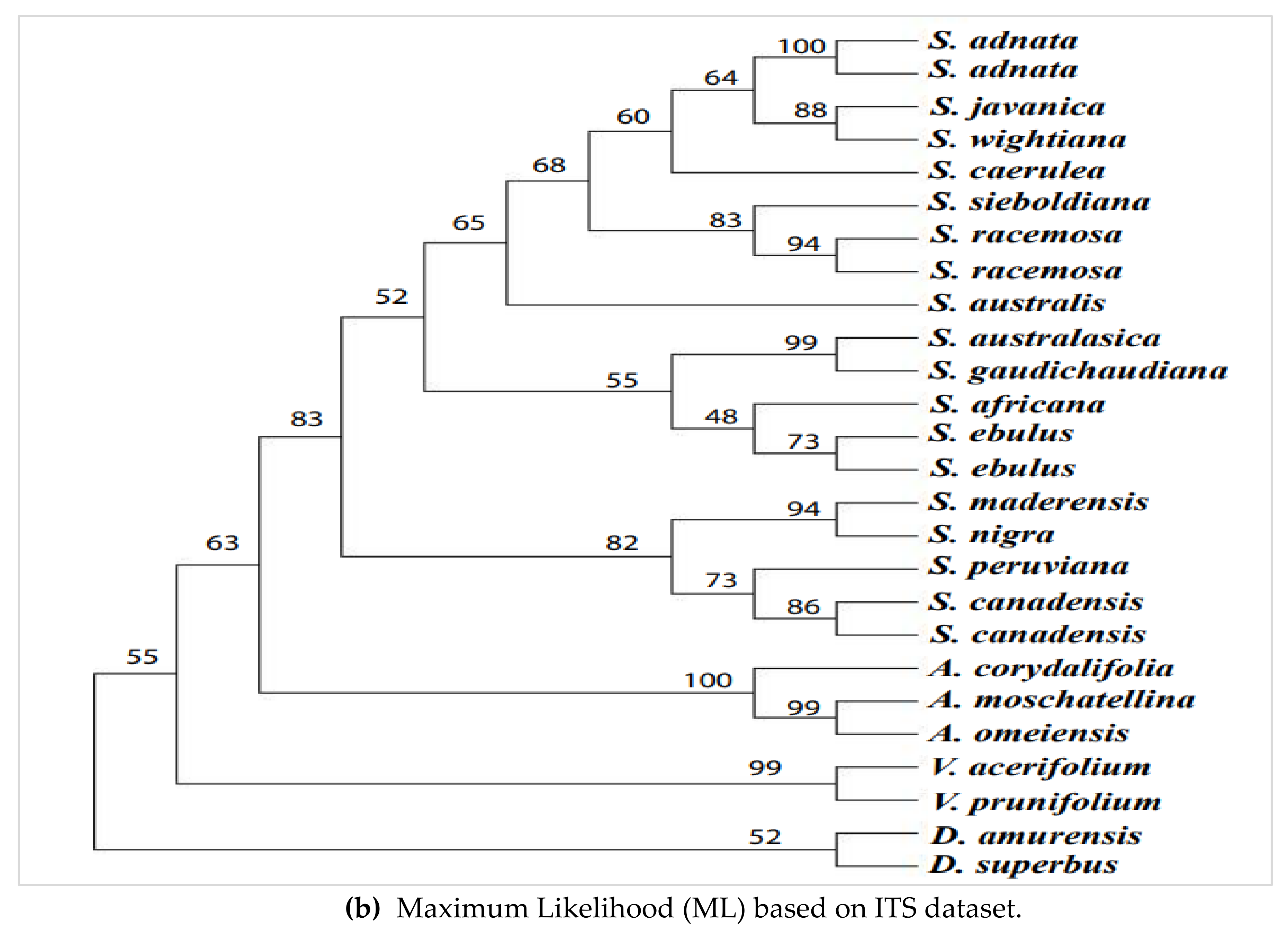 Diversity 14 00906 g004b Diversity 14 00906 g004b