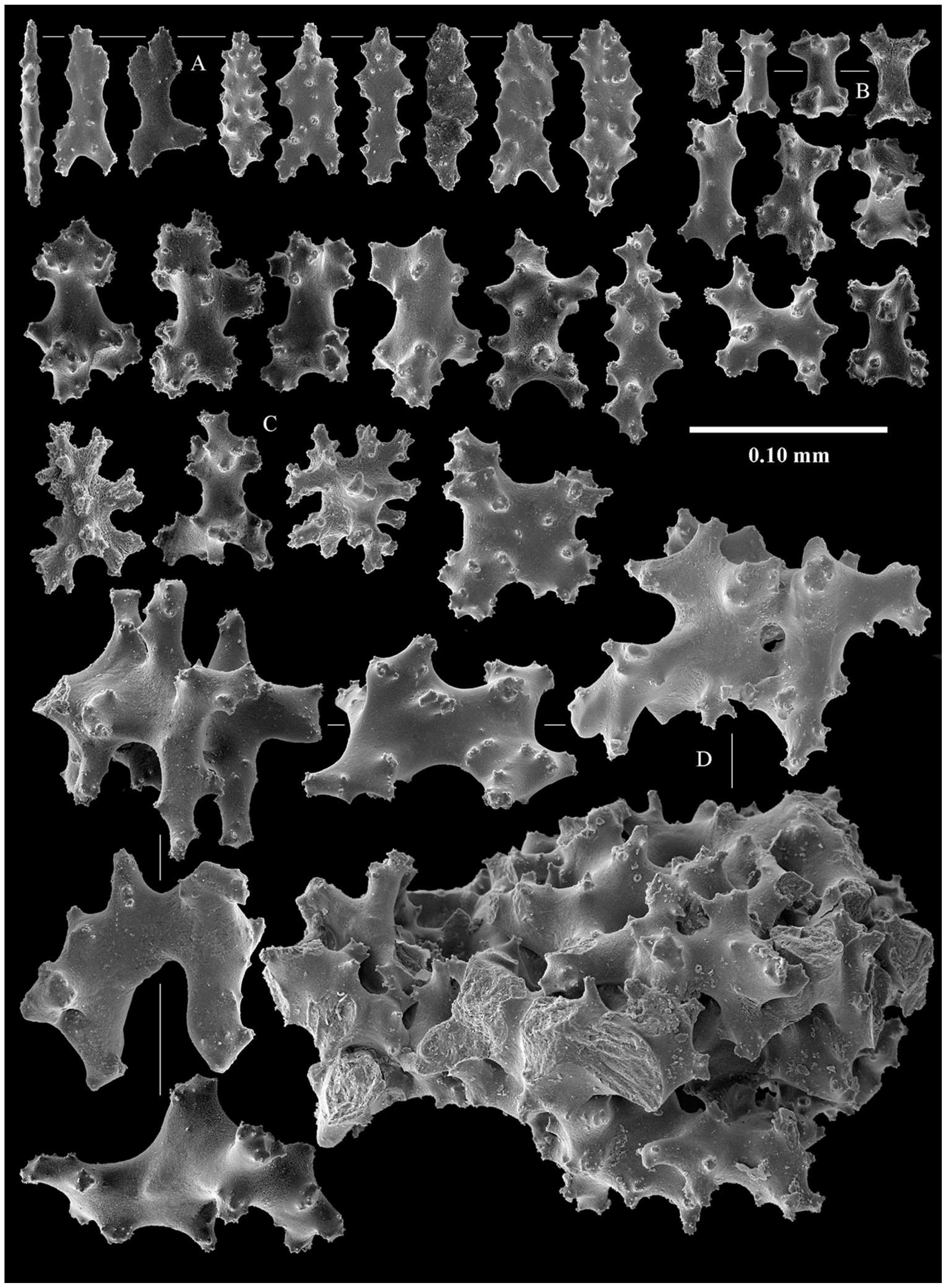 Diversity 14 00909 g005