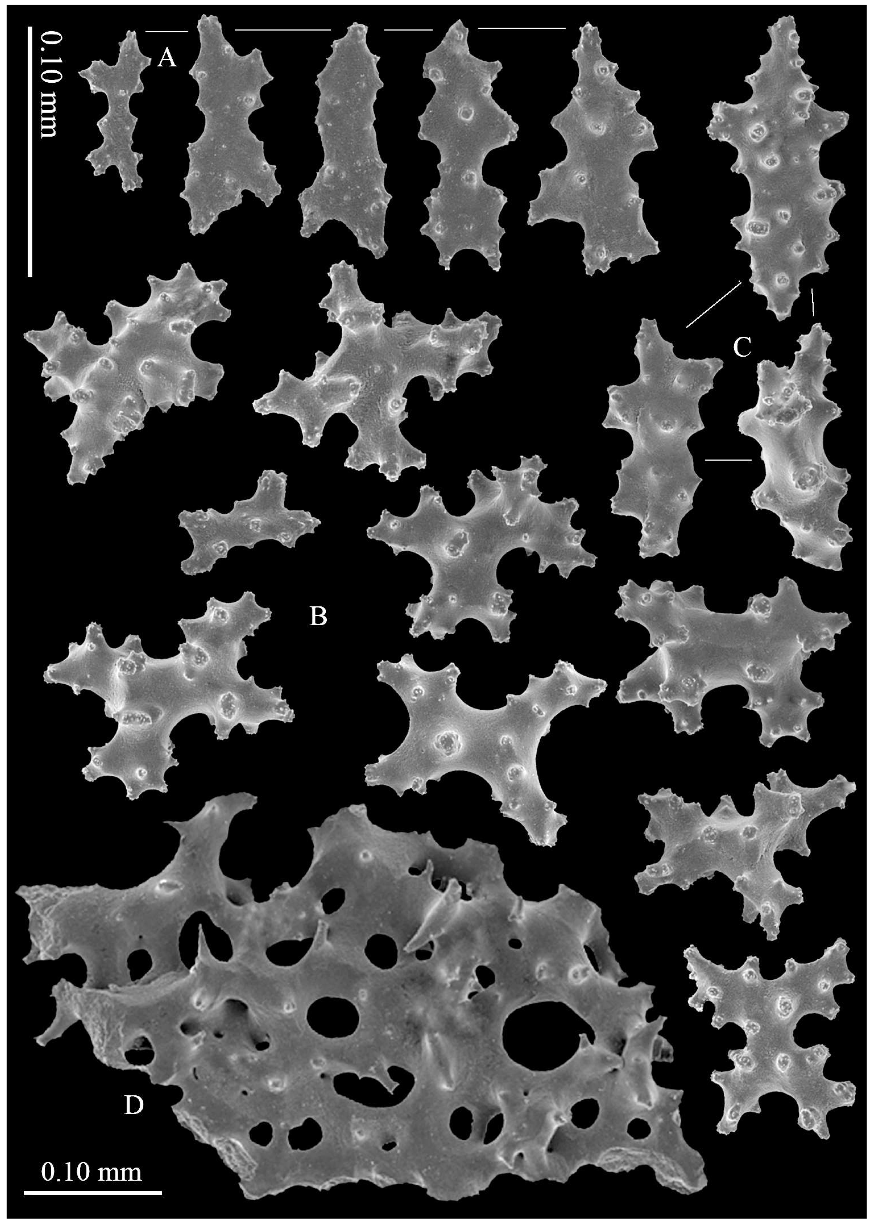 Diversity 14 00909 g006