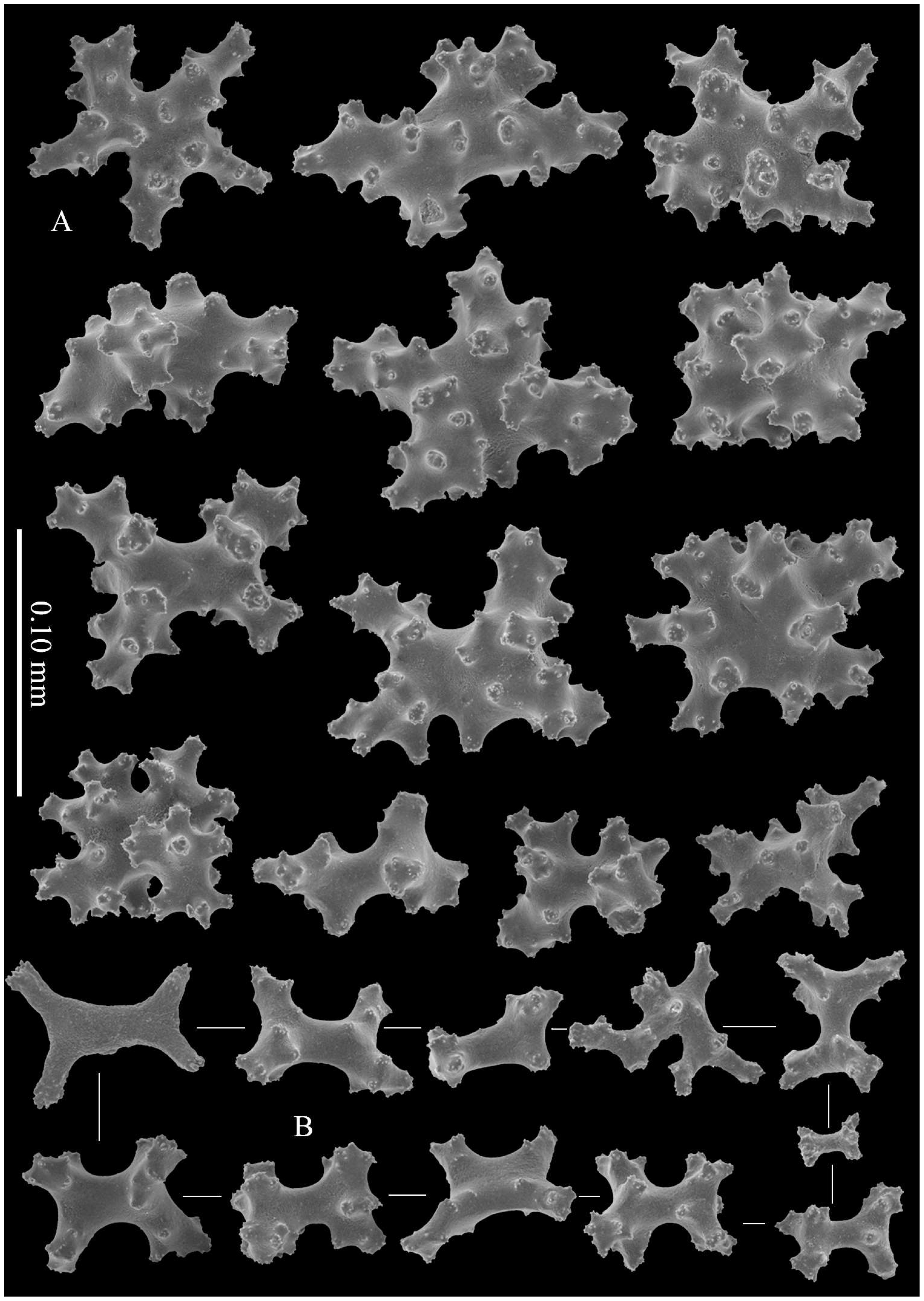 Diversity 14 00909 g007