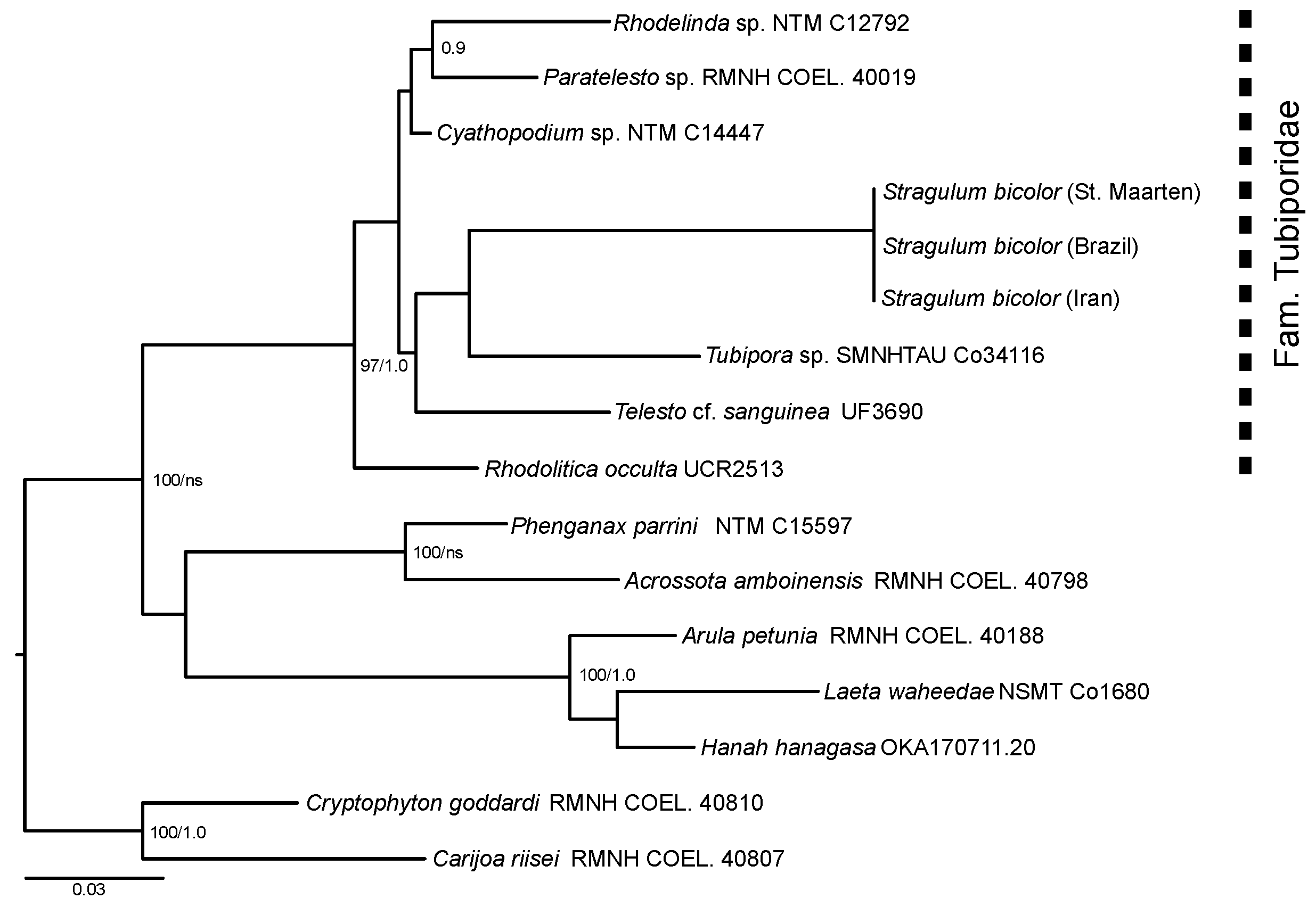 Diversity 14 00909 g008
