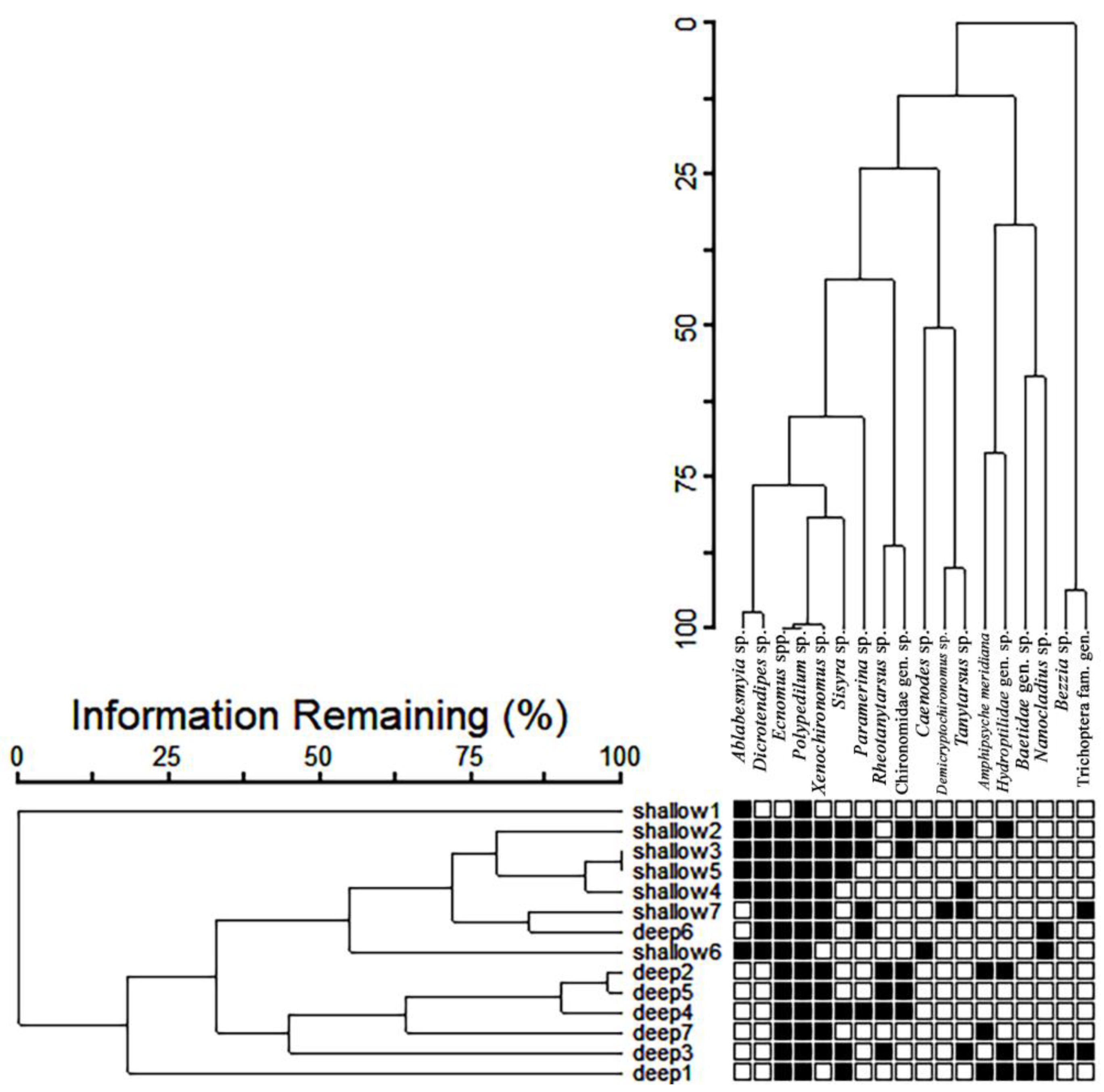 Diversity 14 00911 g007 Diversity 14 00911 g007