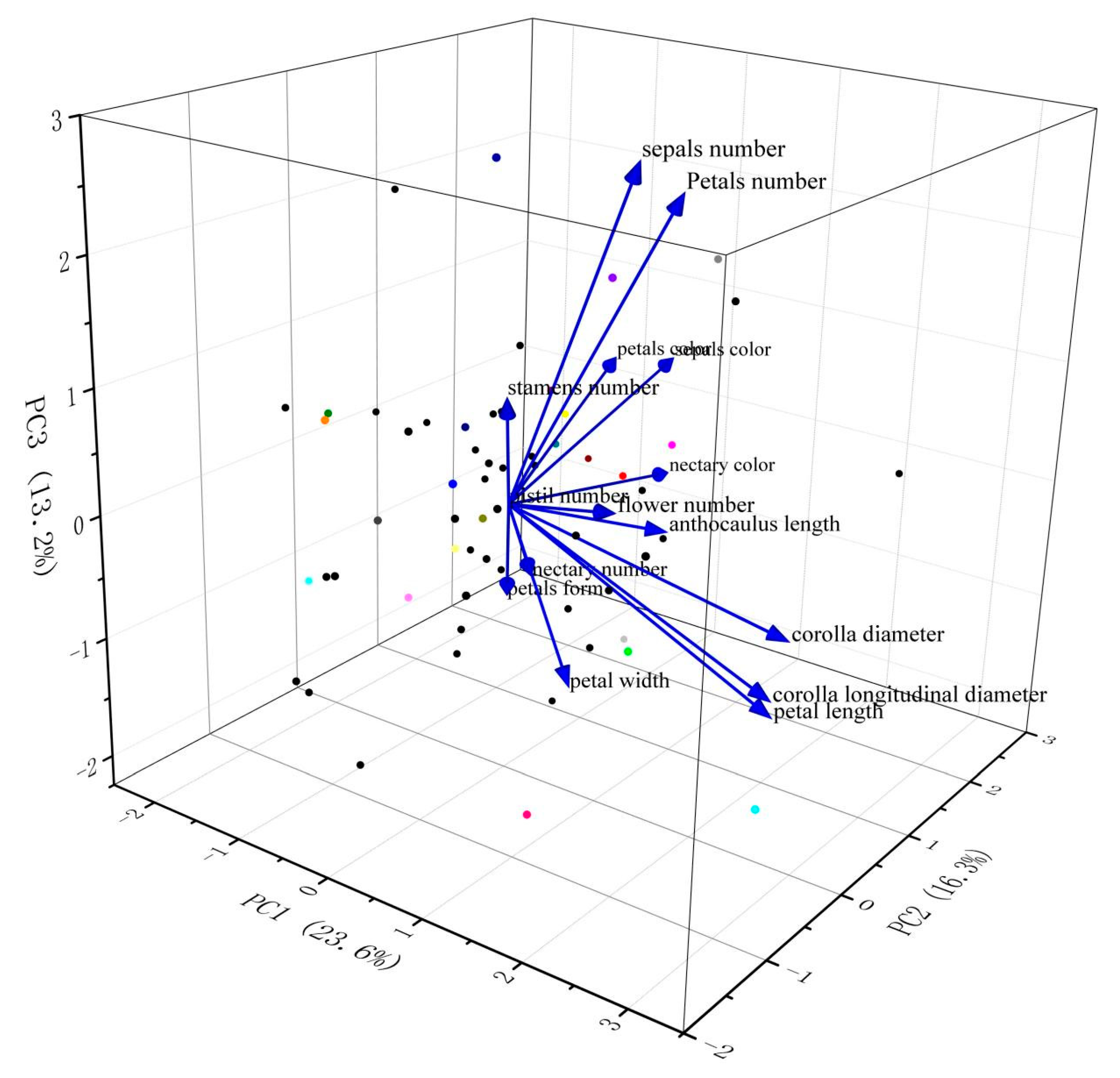 Diversity 14 00913 g001