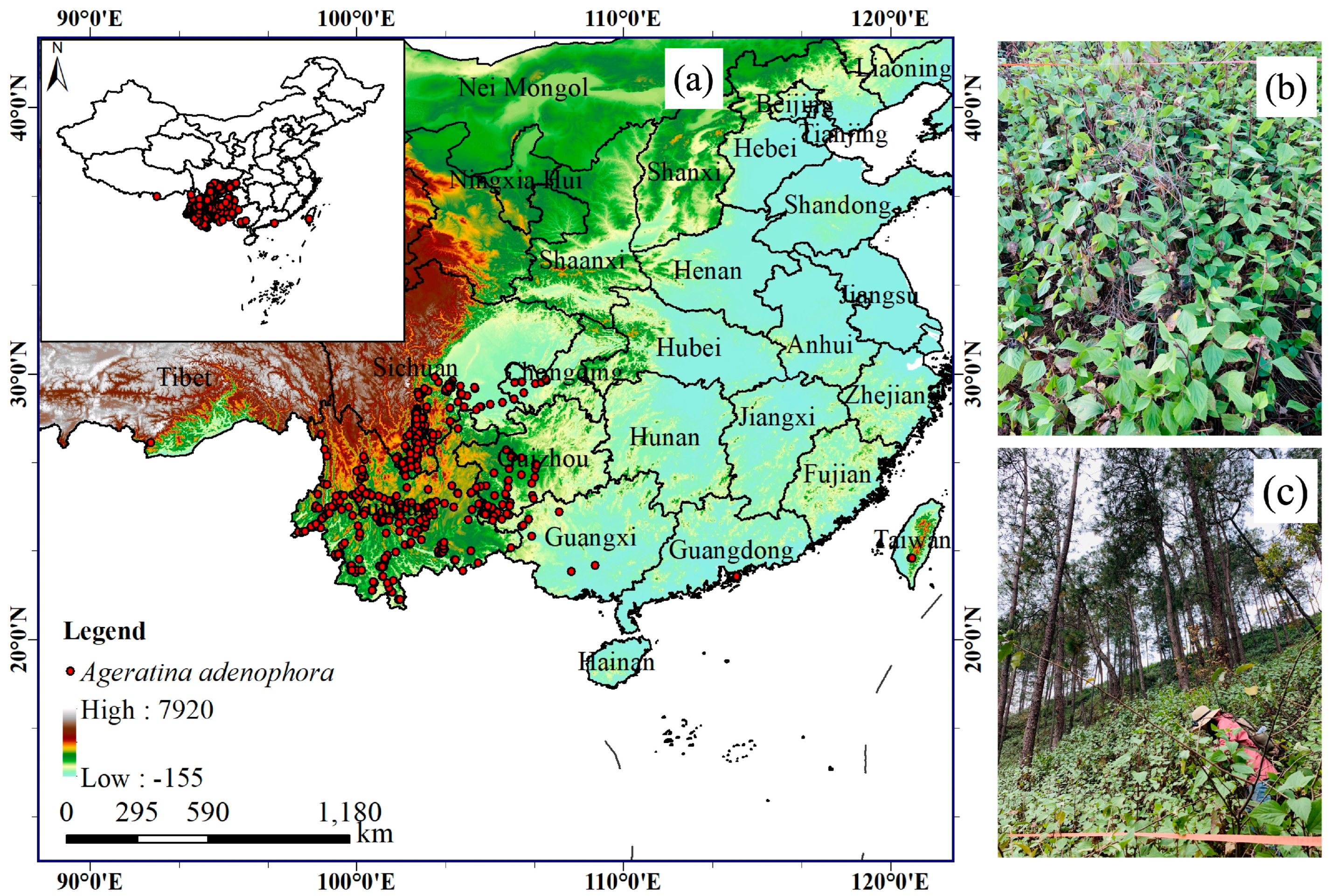 Diversity 14 00915 g001 Diversity 14 00915 g001
