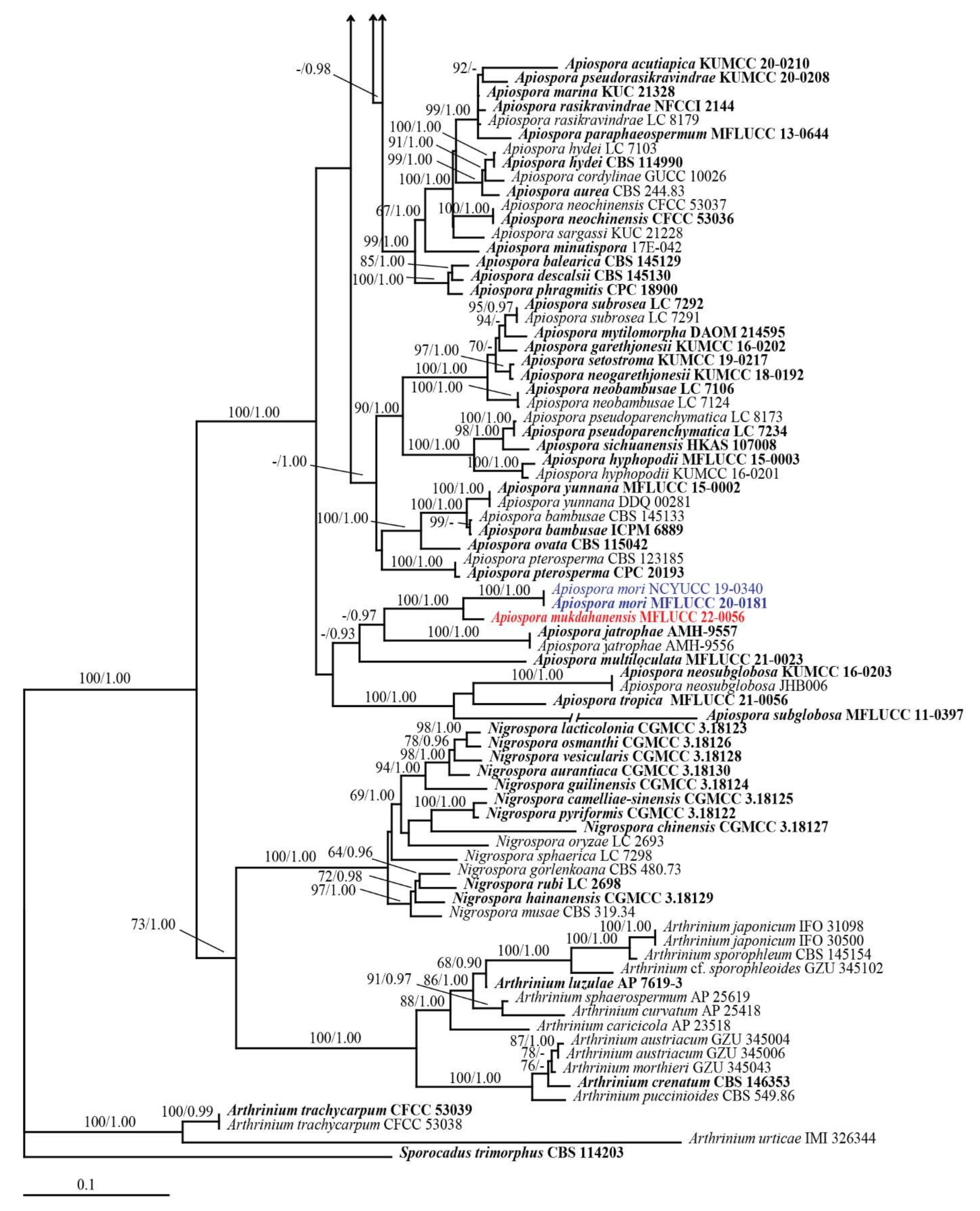Diversity 14 00918 g001b