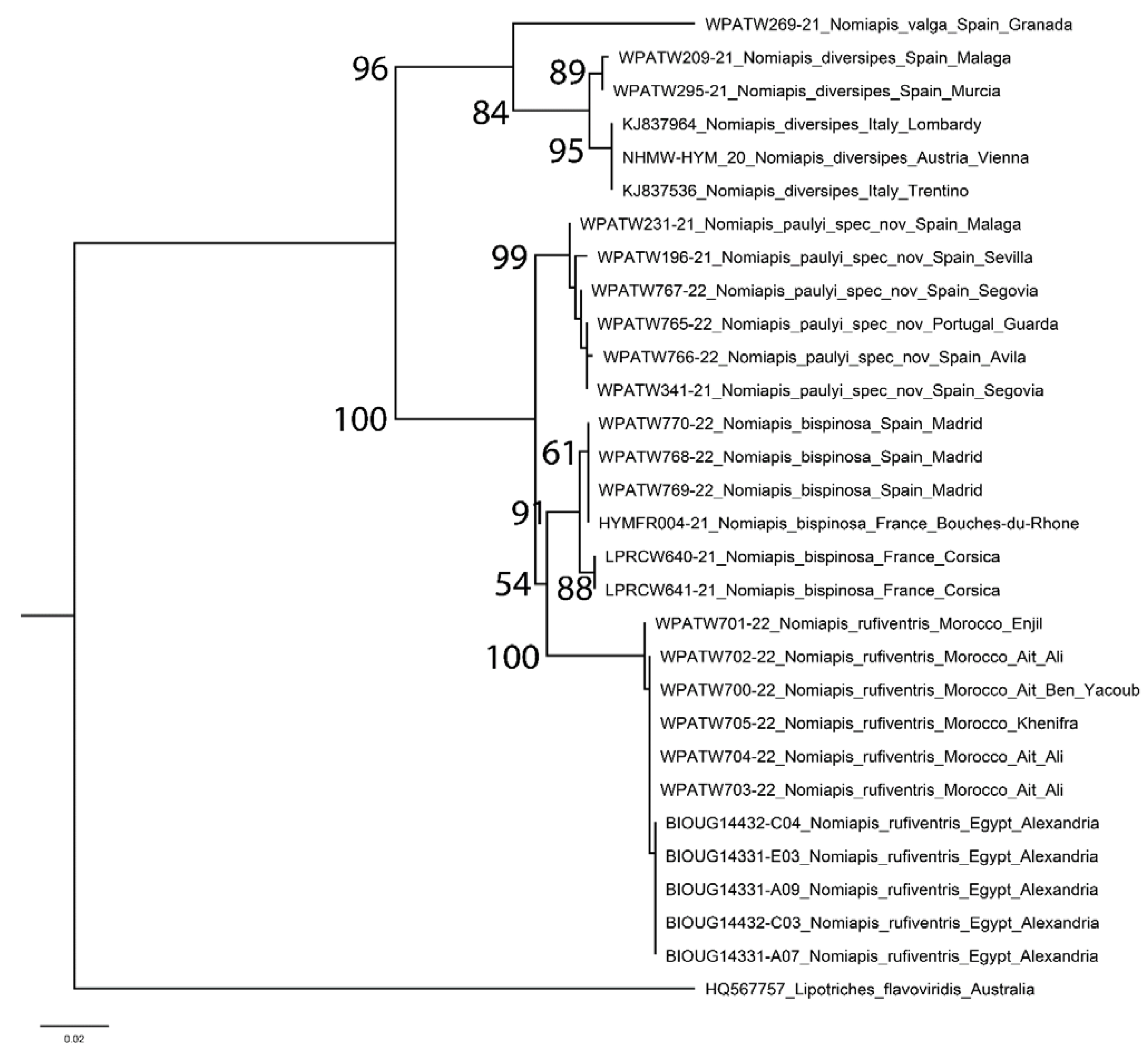 Diversity 14 00920 g001