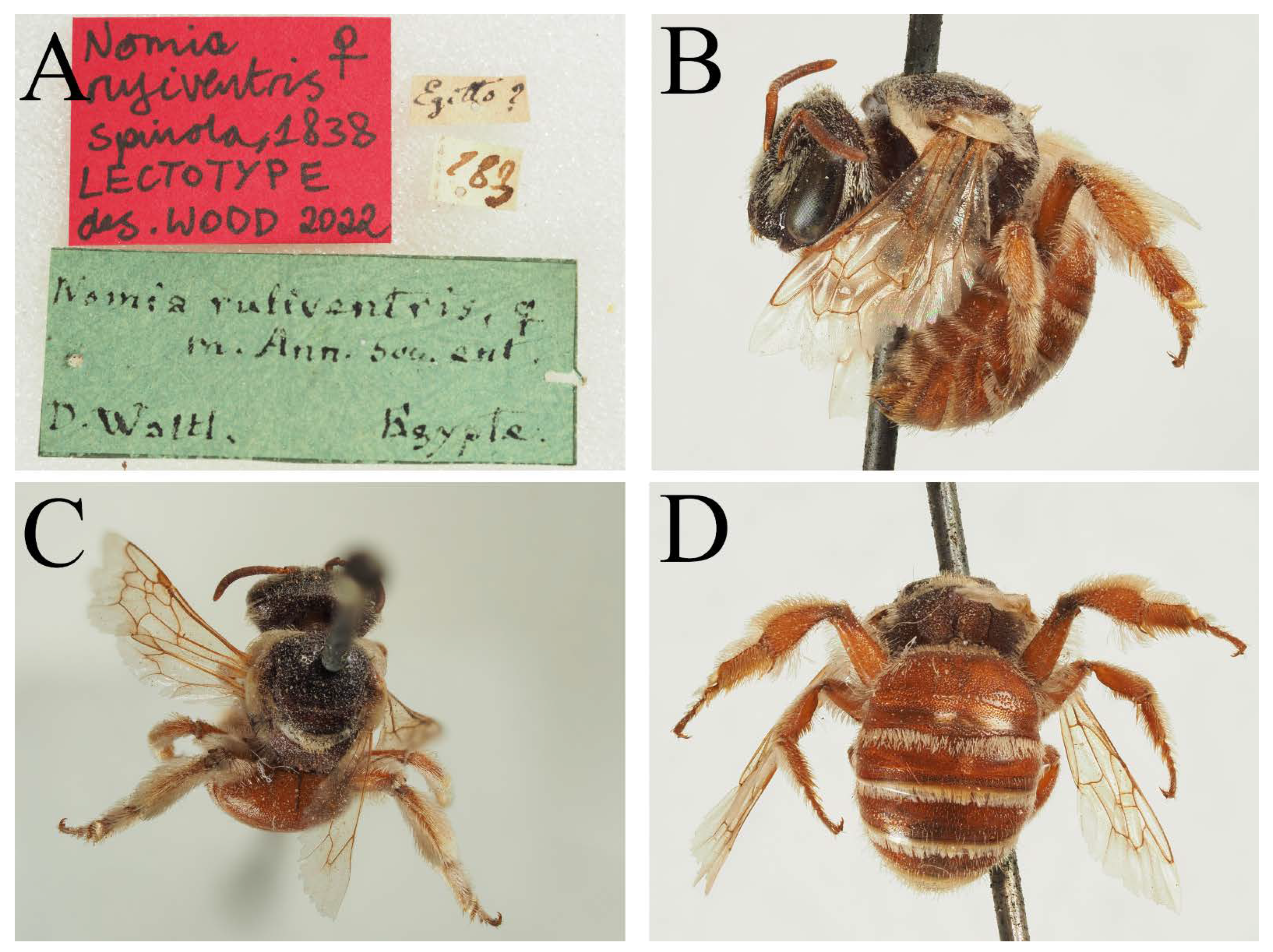 Diversity 14 00920 g005