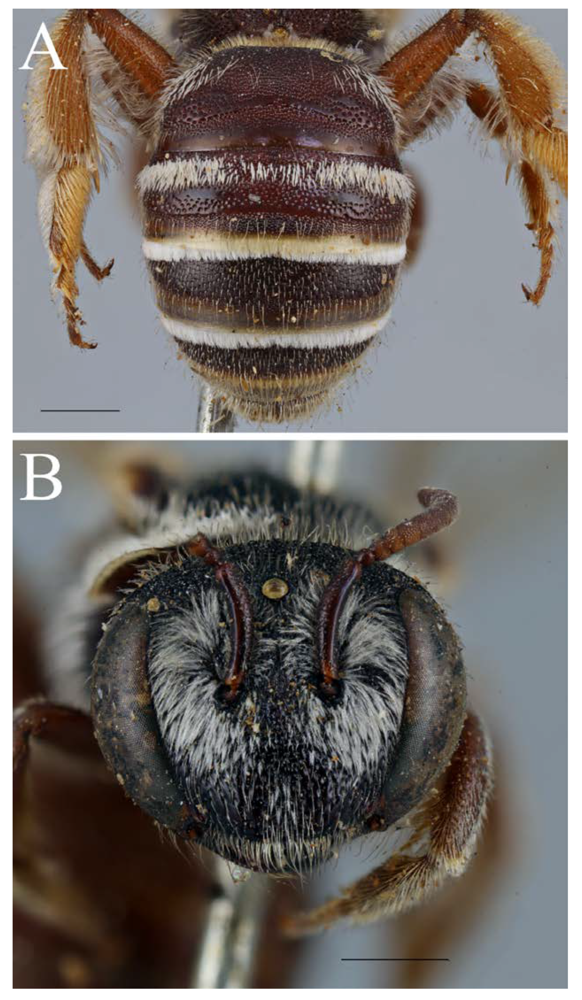 Diversity 14 00920 g009