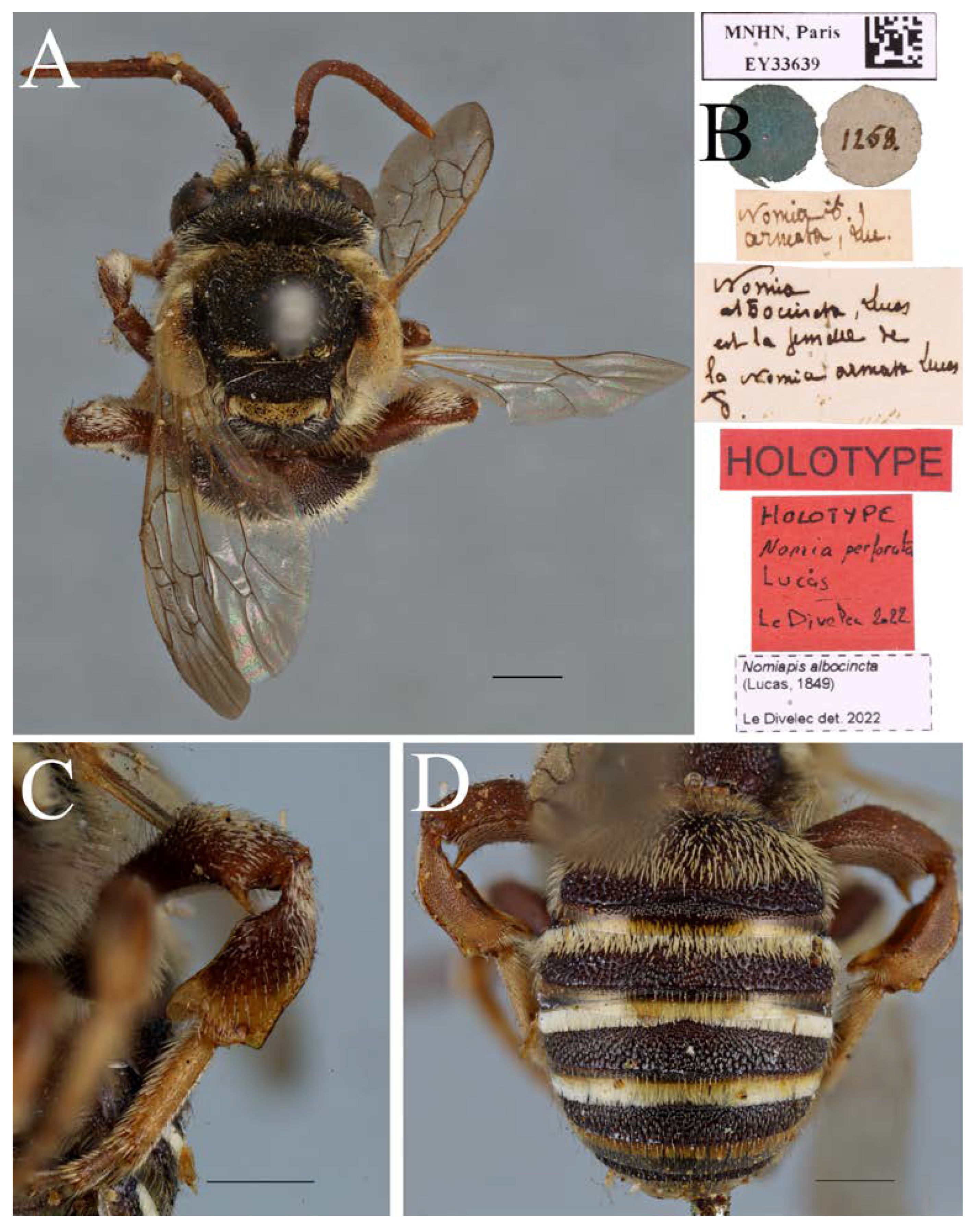 Diversity 14 00920 g010