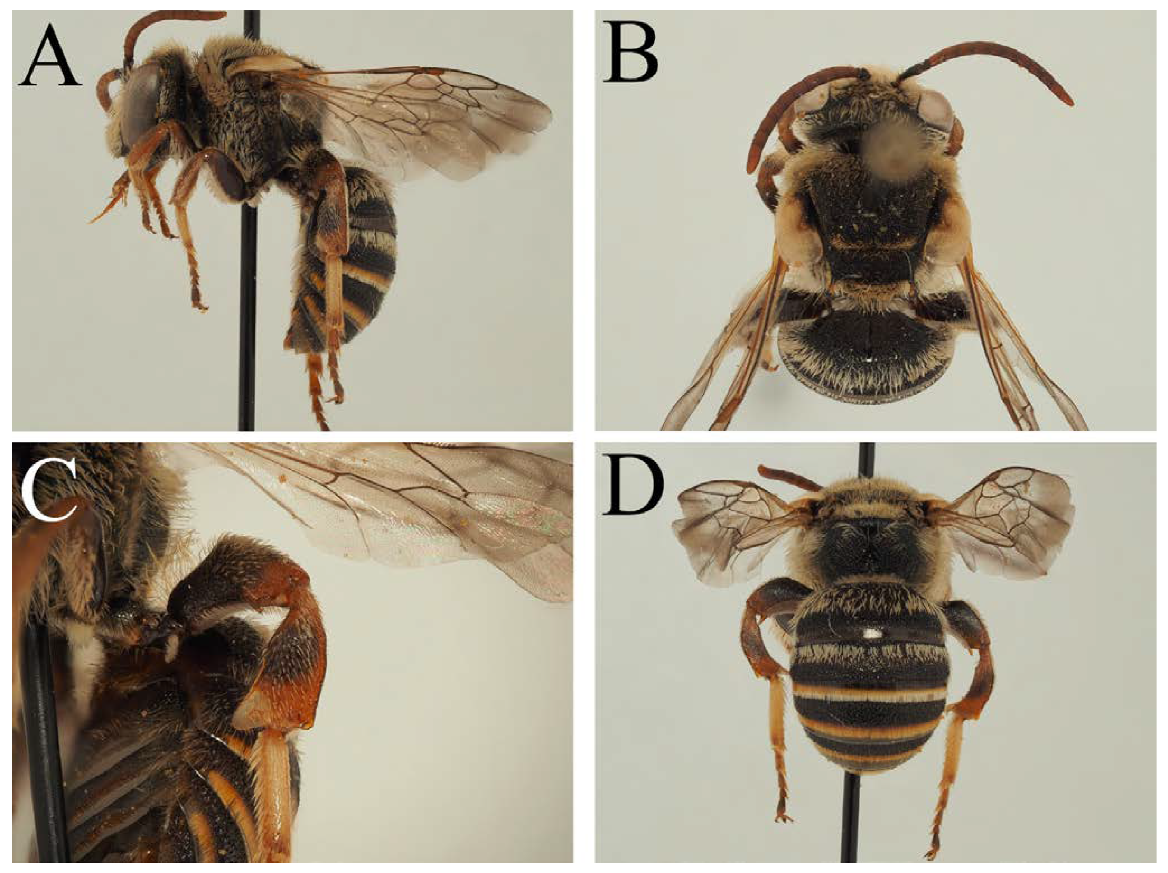 Diversity 14 00920 g012