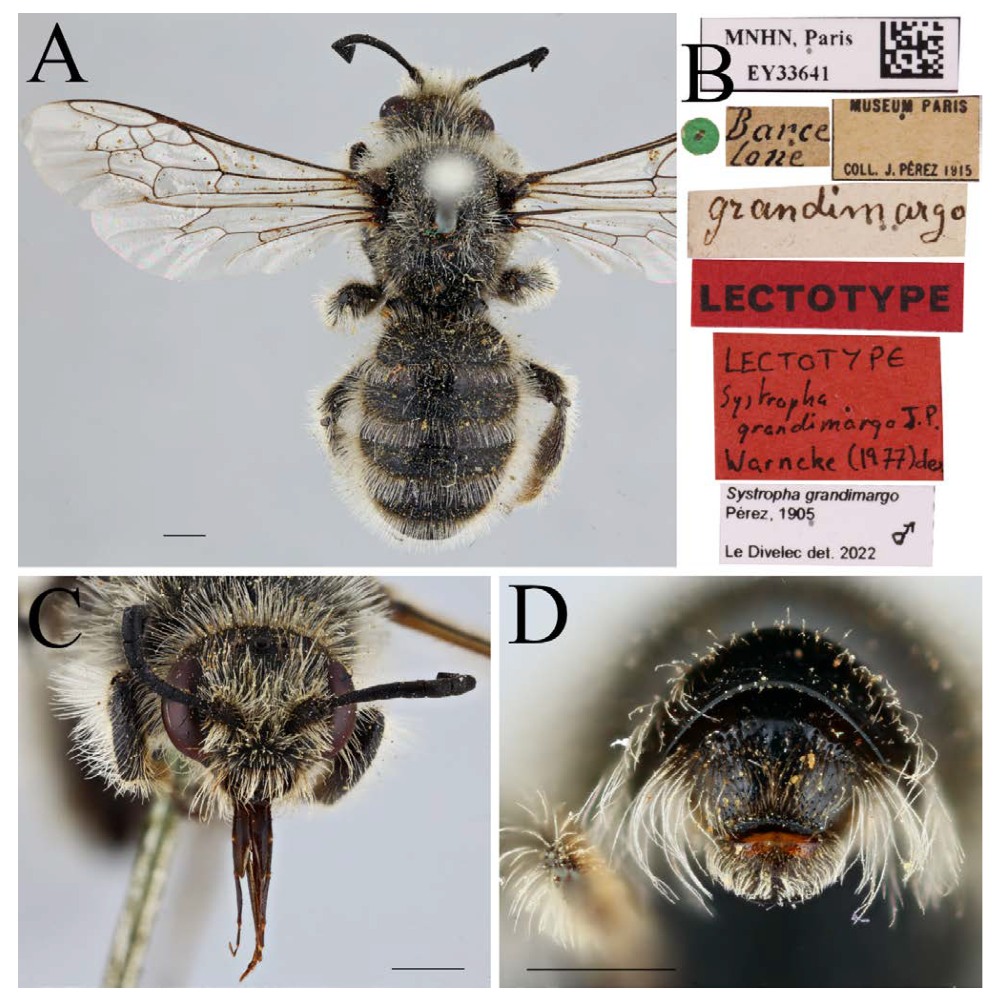 Diversity 14 00920 g016