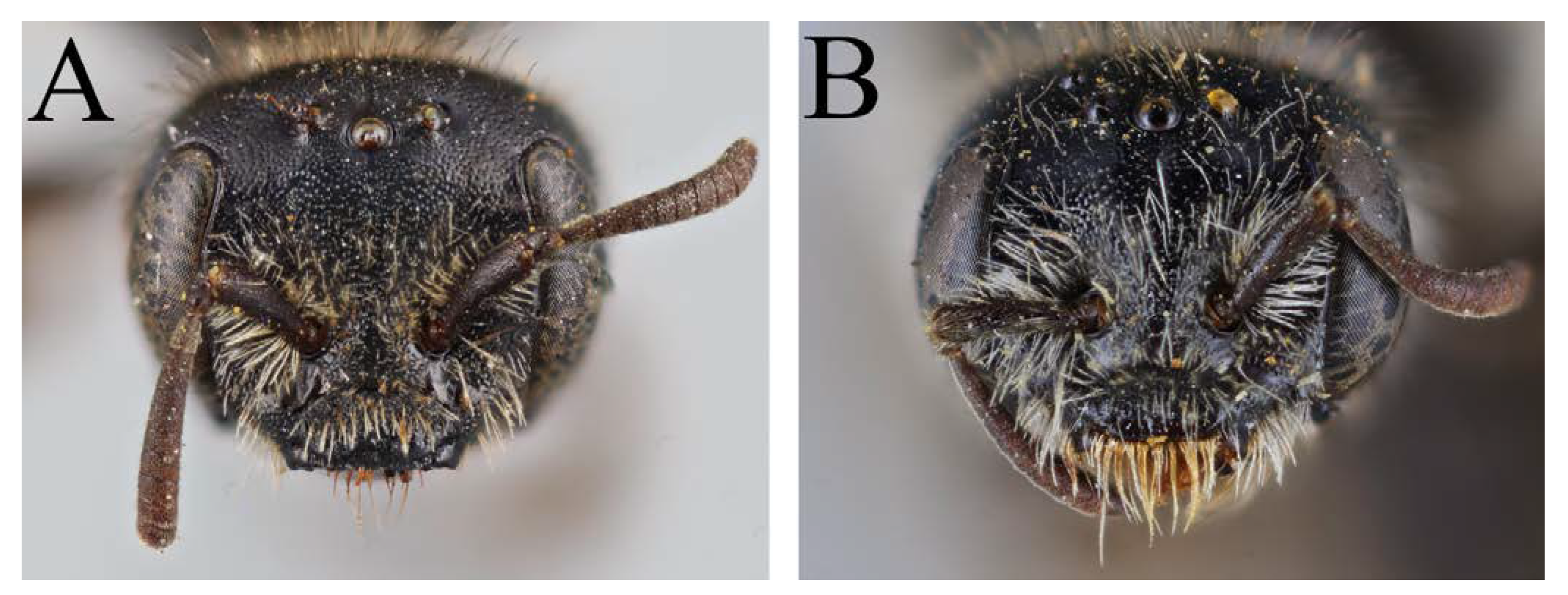 Diversity 14 00920 g020