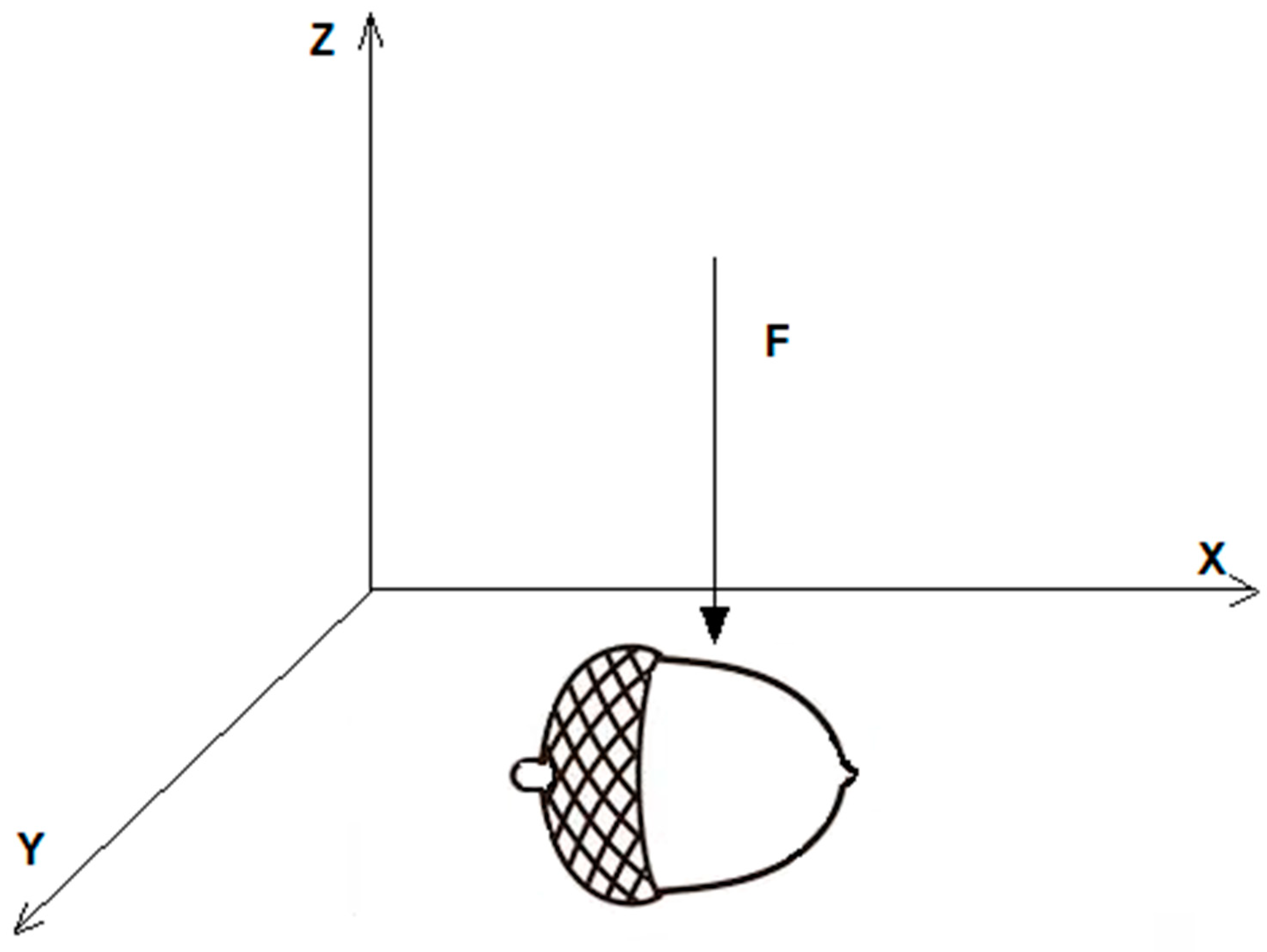 Diversity 14 00922 g001