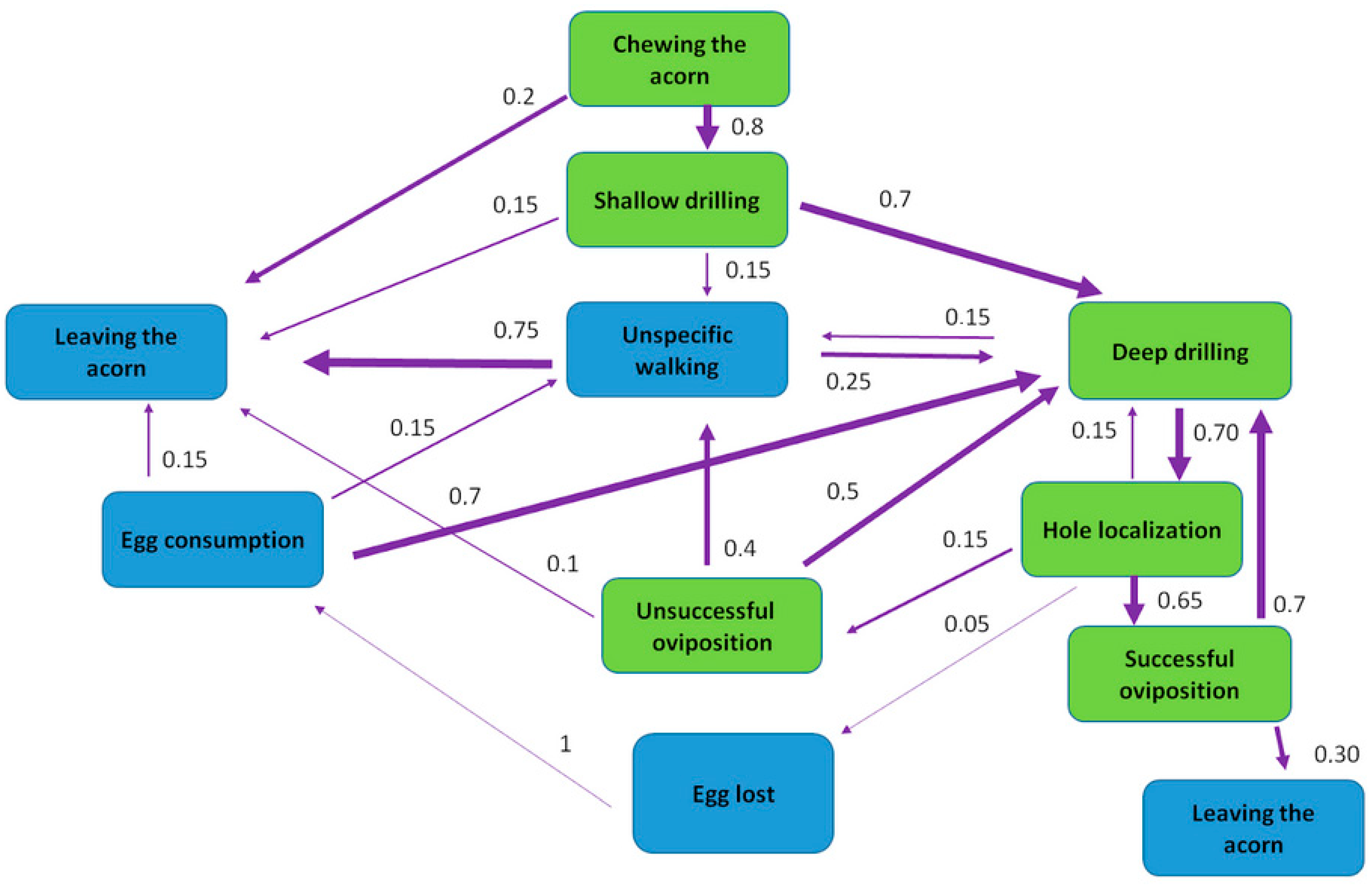 Diversity 14 00922 g004