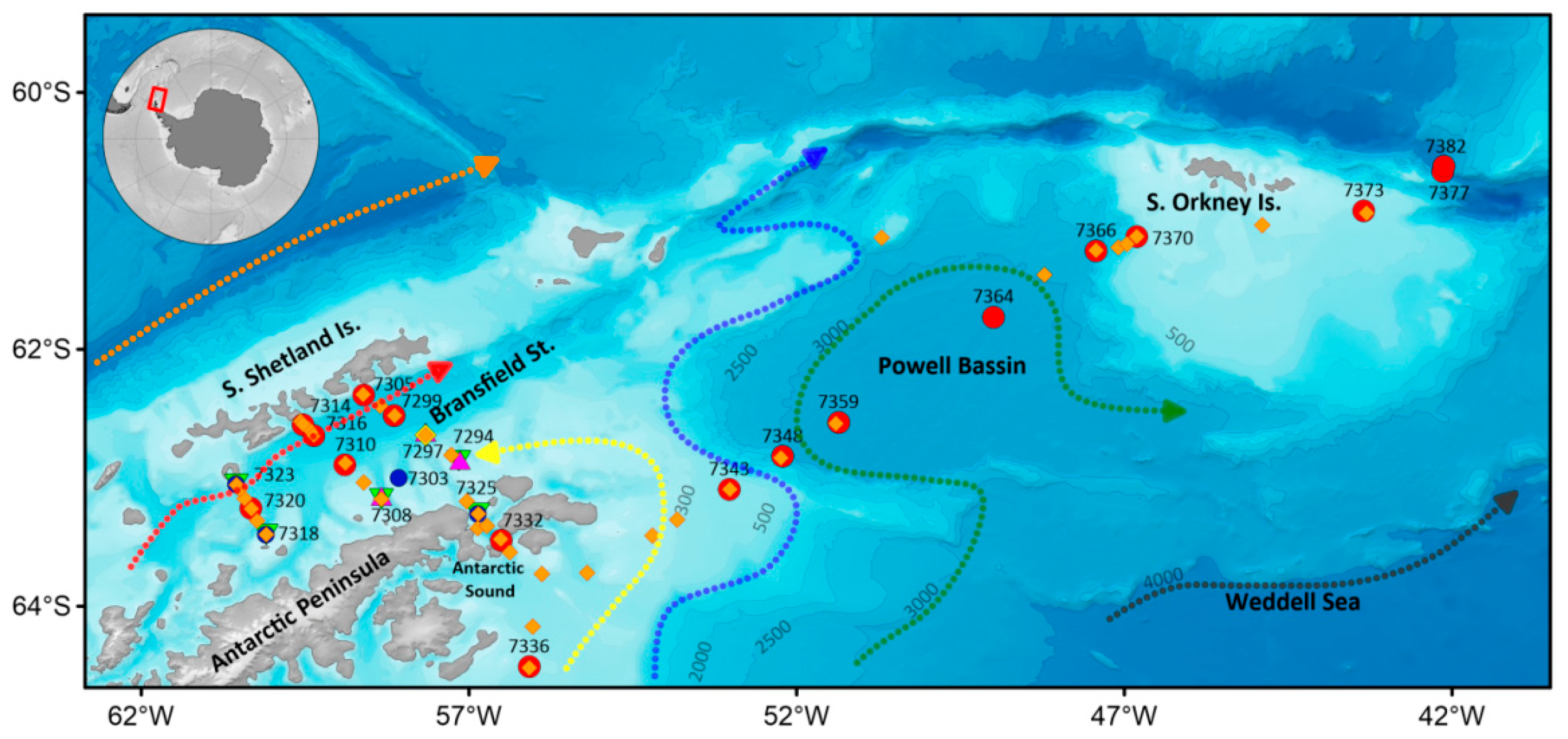 Diversity 14 00923 g001 Diversity 14 00923 g001