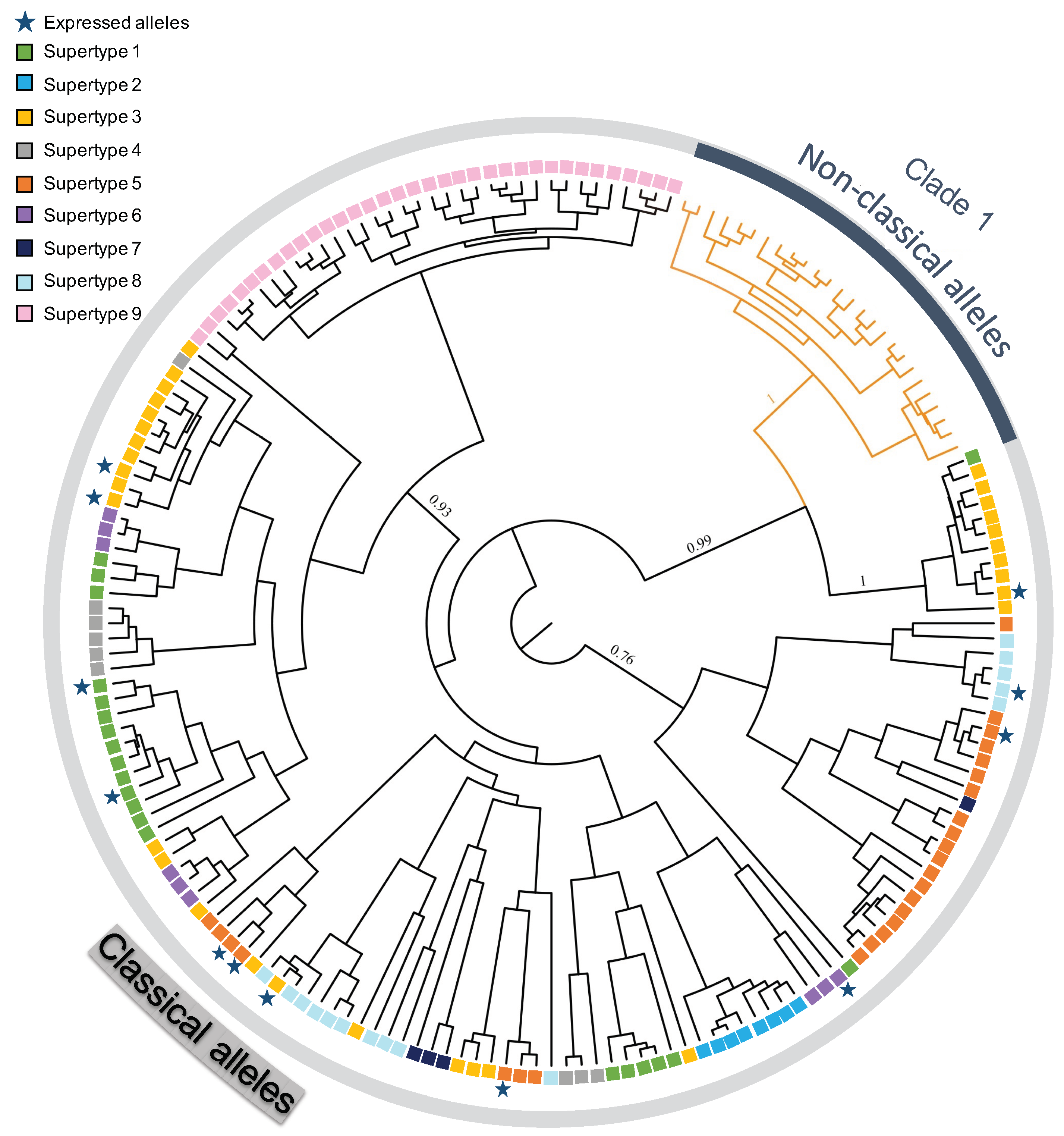 Diversity 14 00925 g001 Diversity 14 00925 g001