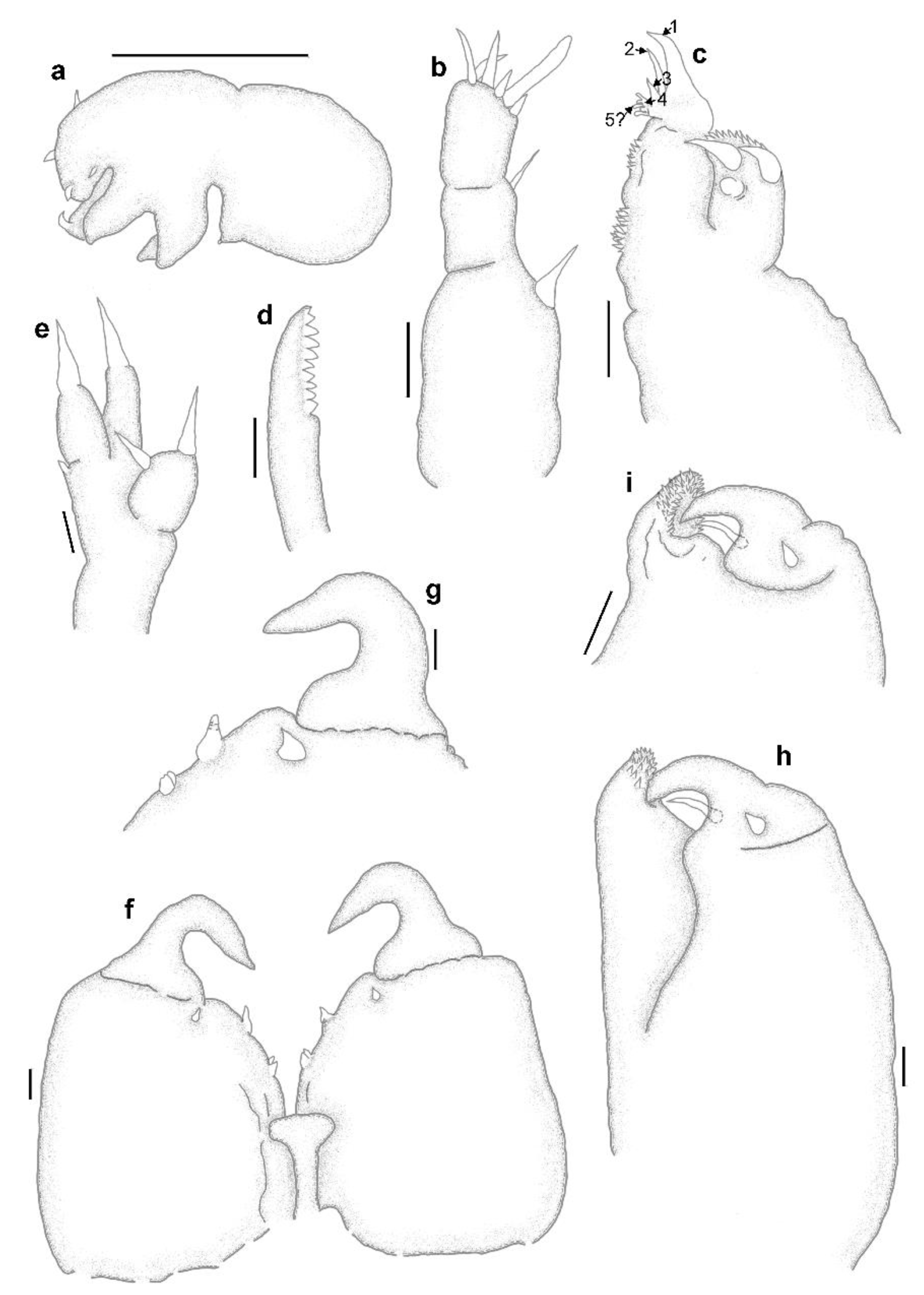 Diversity 14 00929 g004 Diversity 14 00929 g004