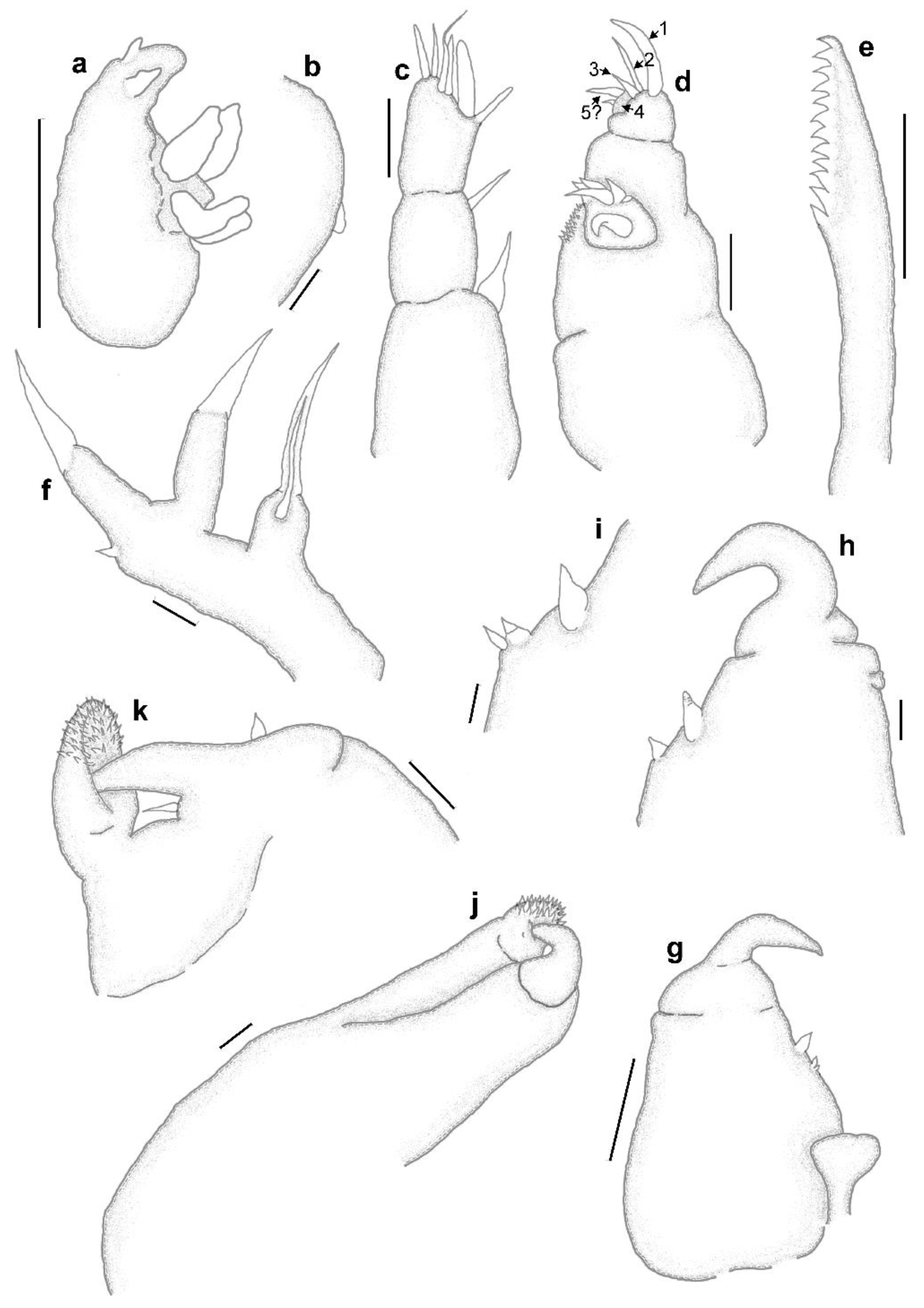 Diversity 14 00929 g011 Diversity 14 00929 g011