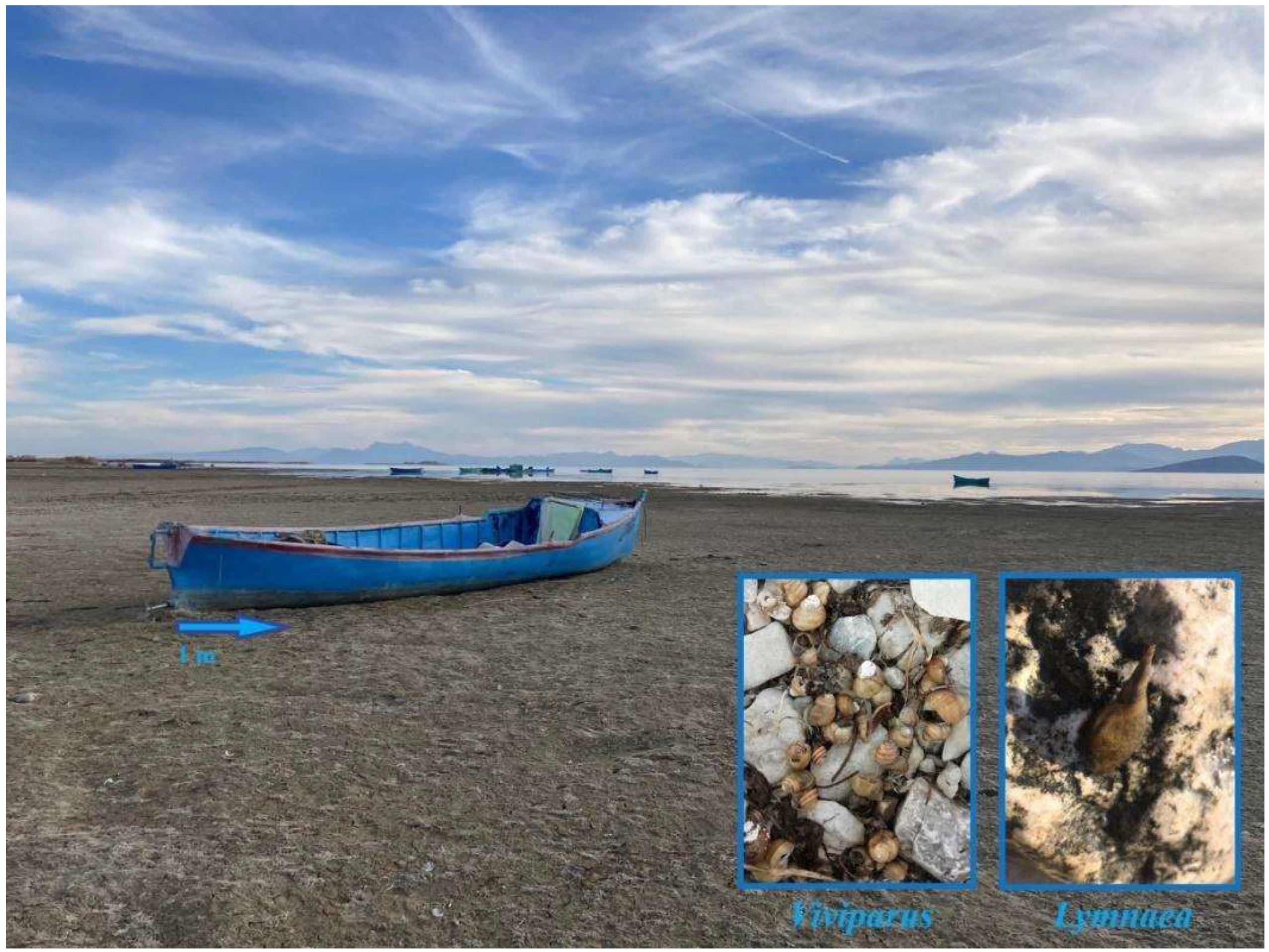 Diversity 14 00934 g009