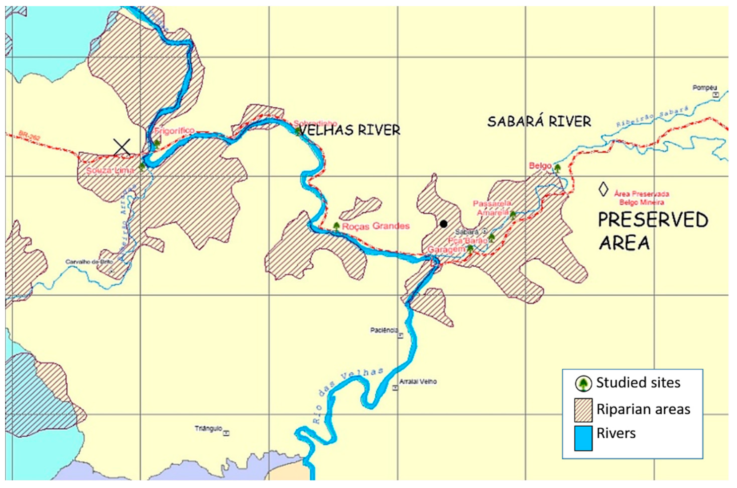 Diversity 14 00938 g001