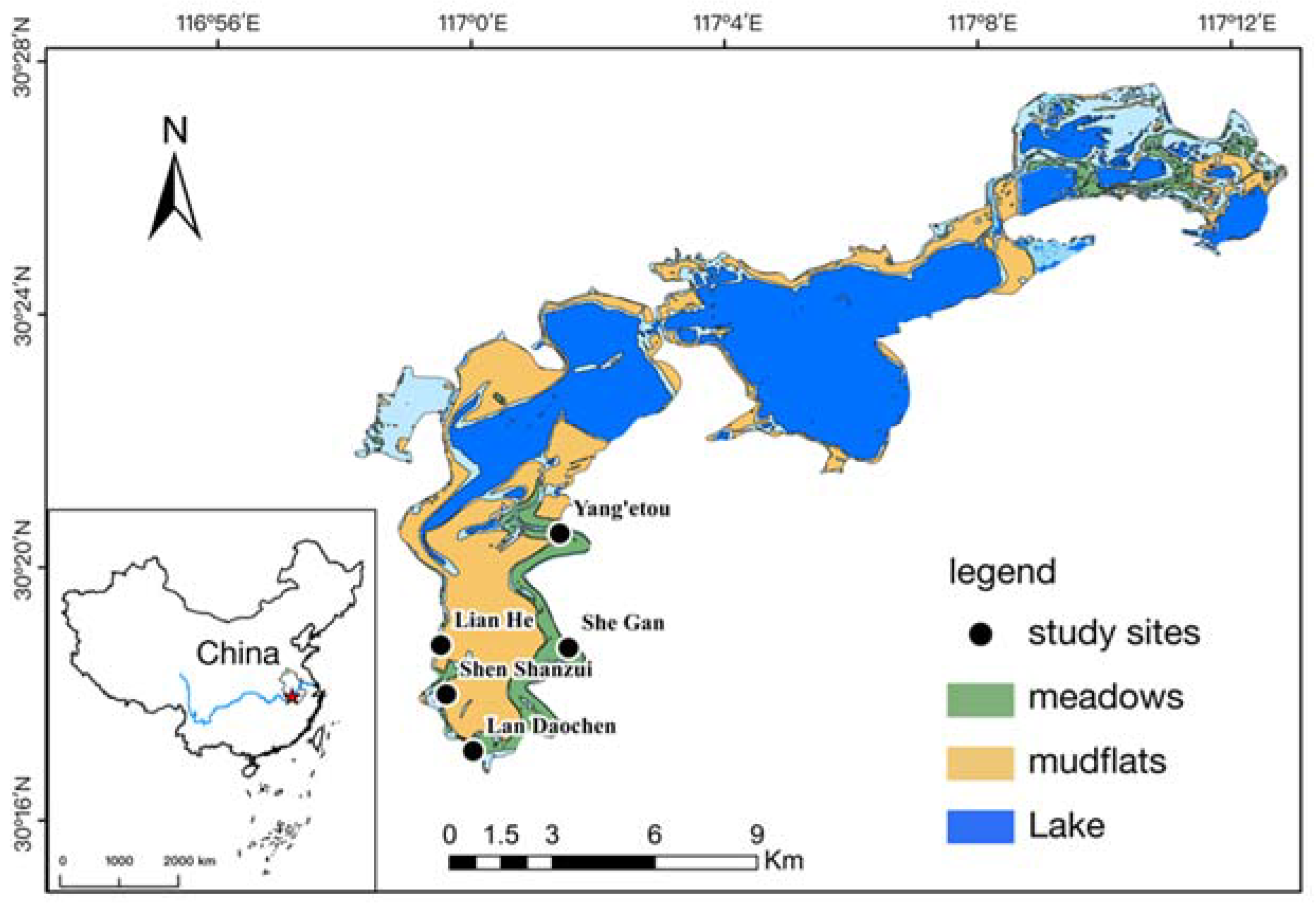 Diversity 14 00943 g001 Diversity 14 00943 g001