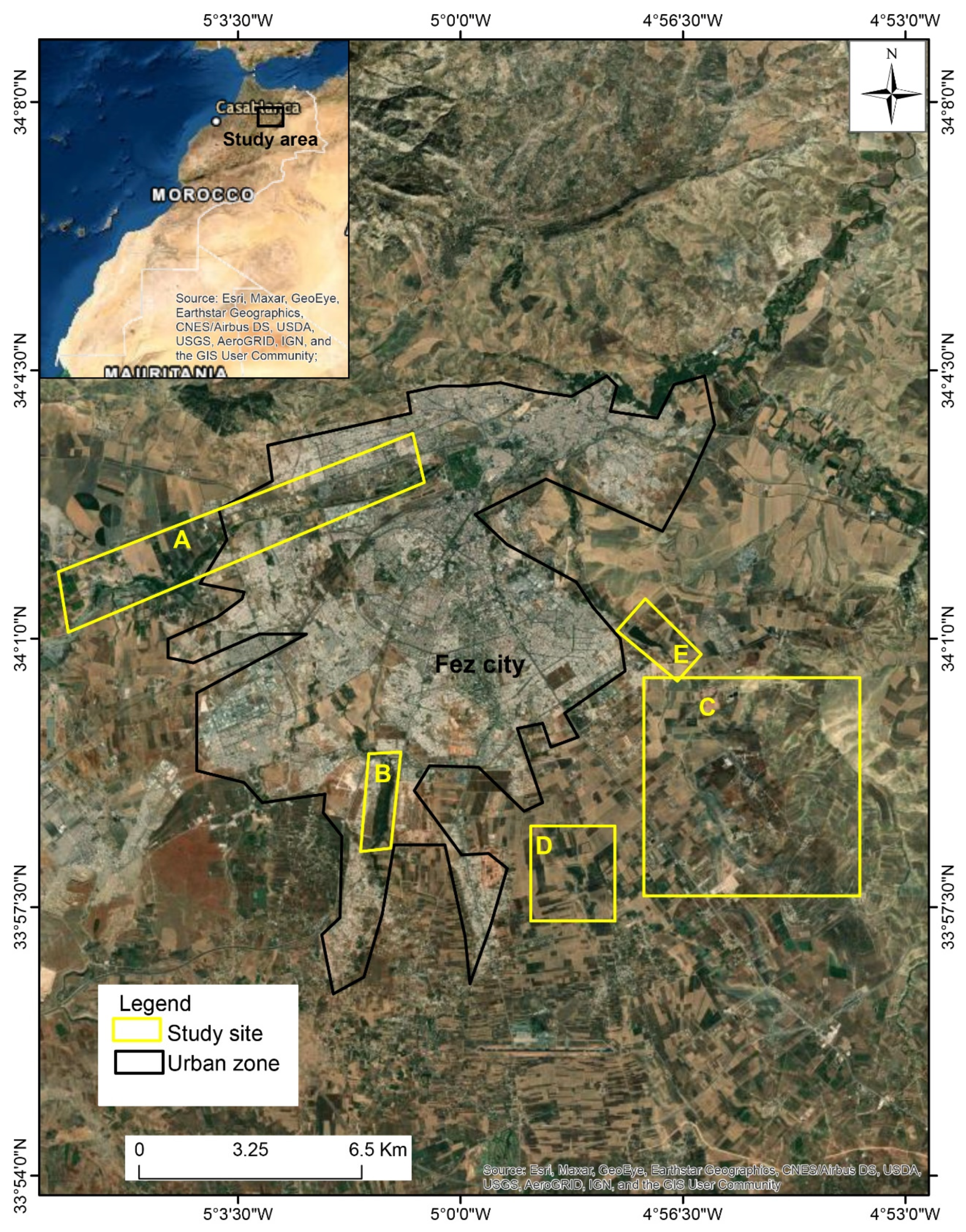 Diversity 14 00945 g001