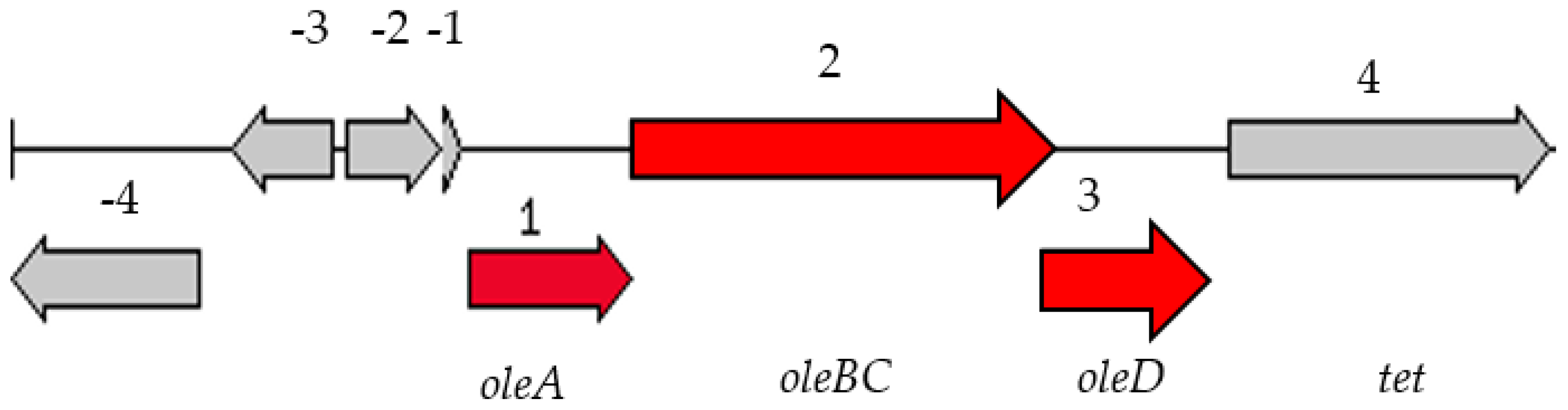 Diversity 14 00947 g004 Diversity 14 00947 g004