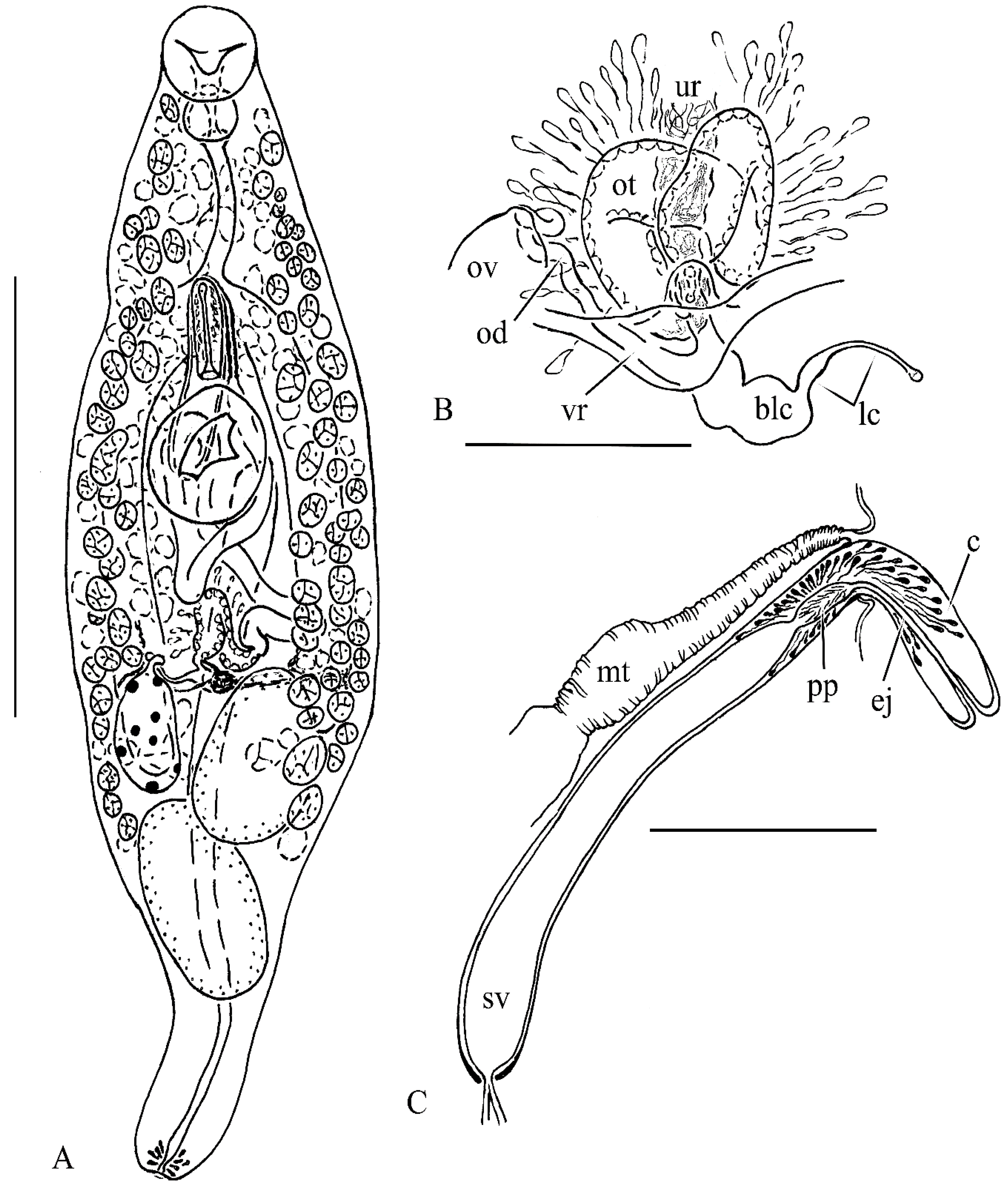 Diversity 14 00949 g003 Diversity 14 00949 g003